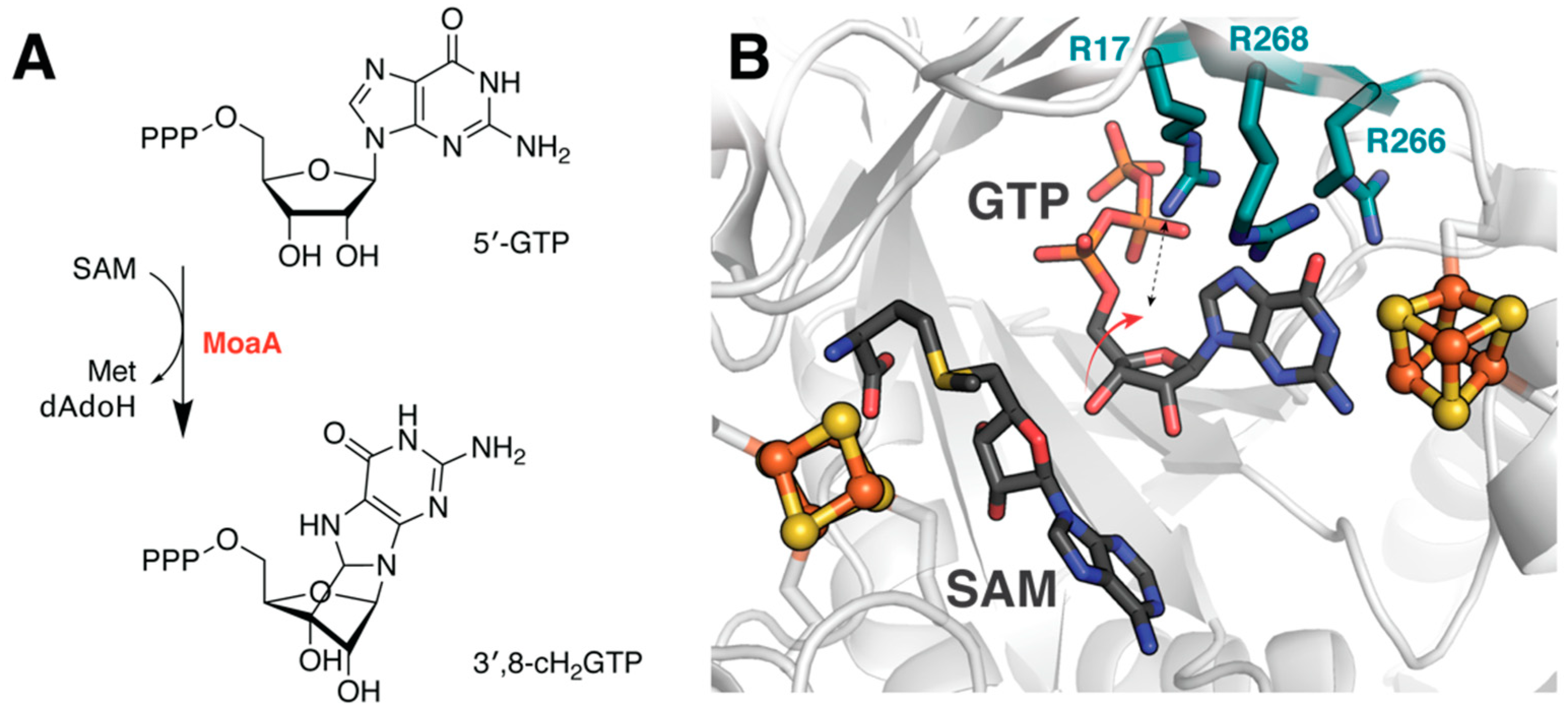 Molecules 26 02590 g005