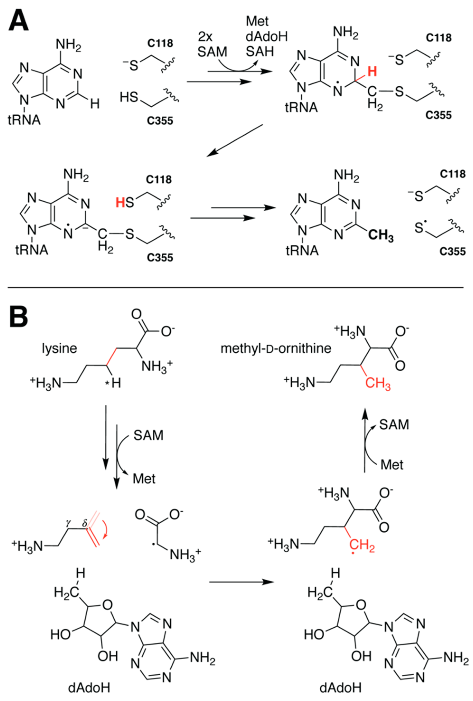 Molecules 26 02590 g006