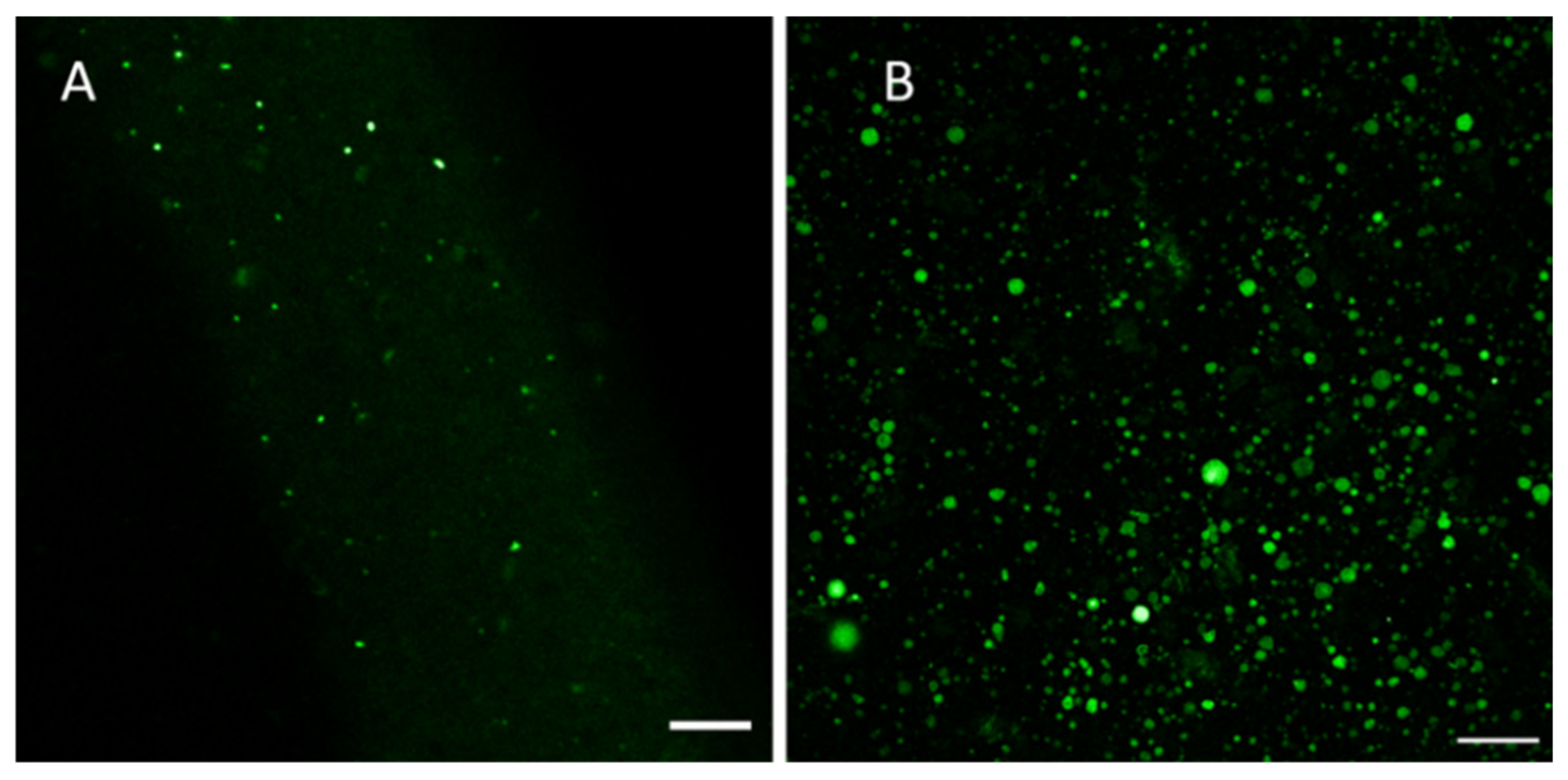 Molecules 26 02591 g006