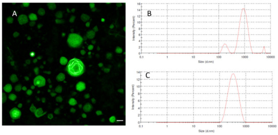 Molecules Topical Collection Poorly Soluble Drugs
