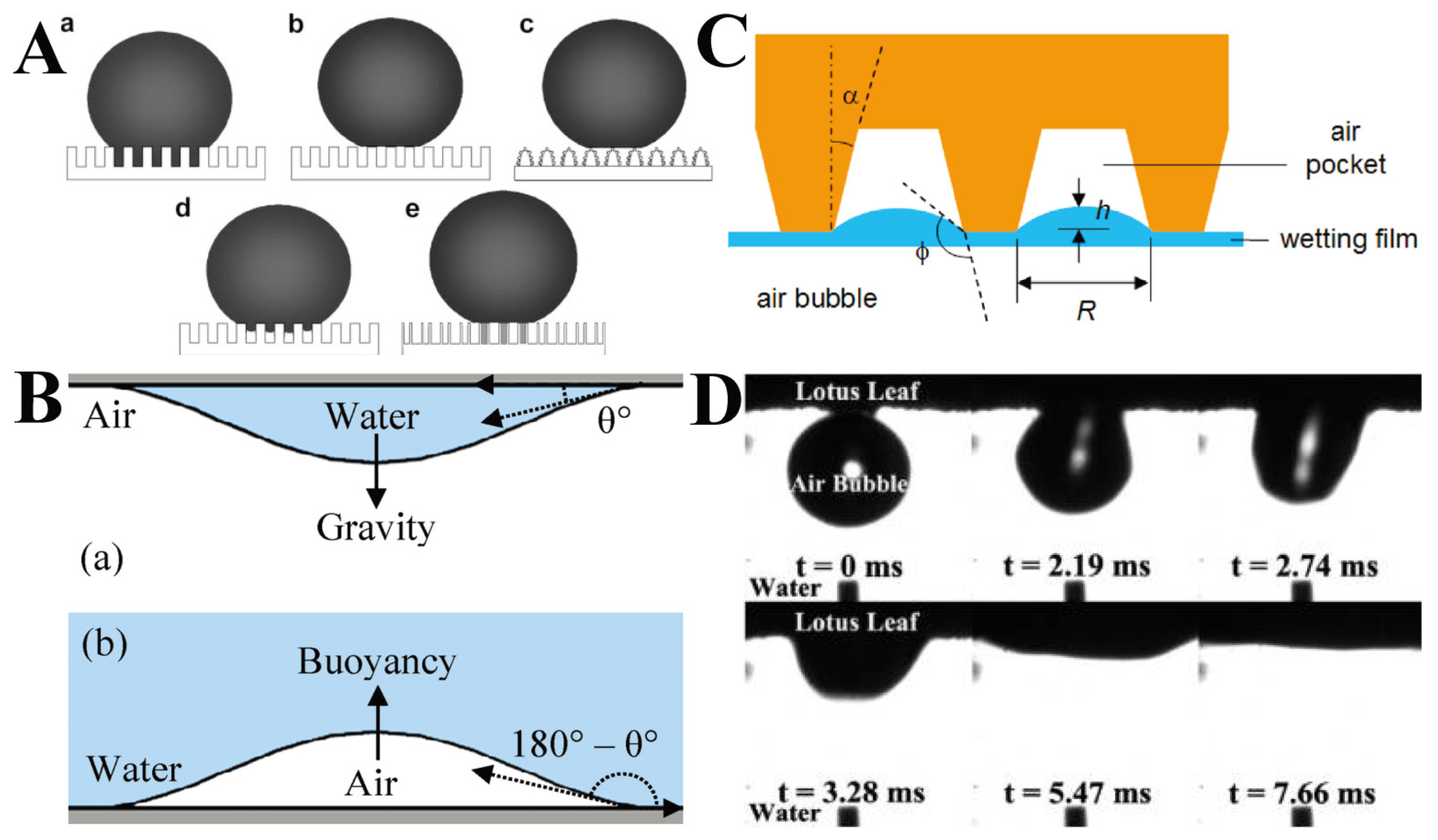 Molecules 26 02592 g003