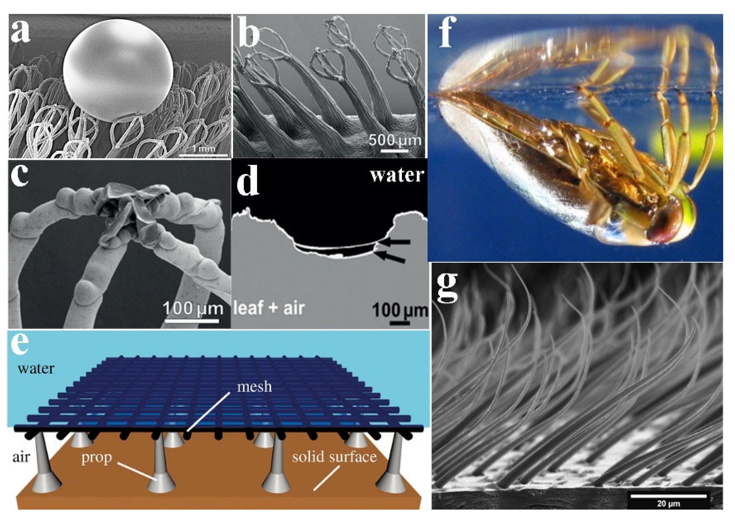 Molecules 26 02592 g004