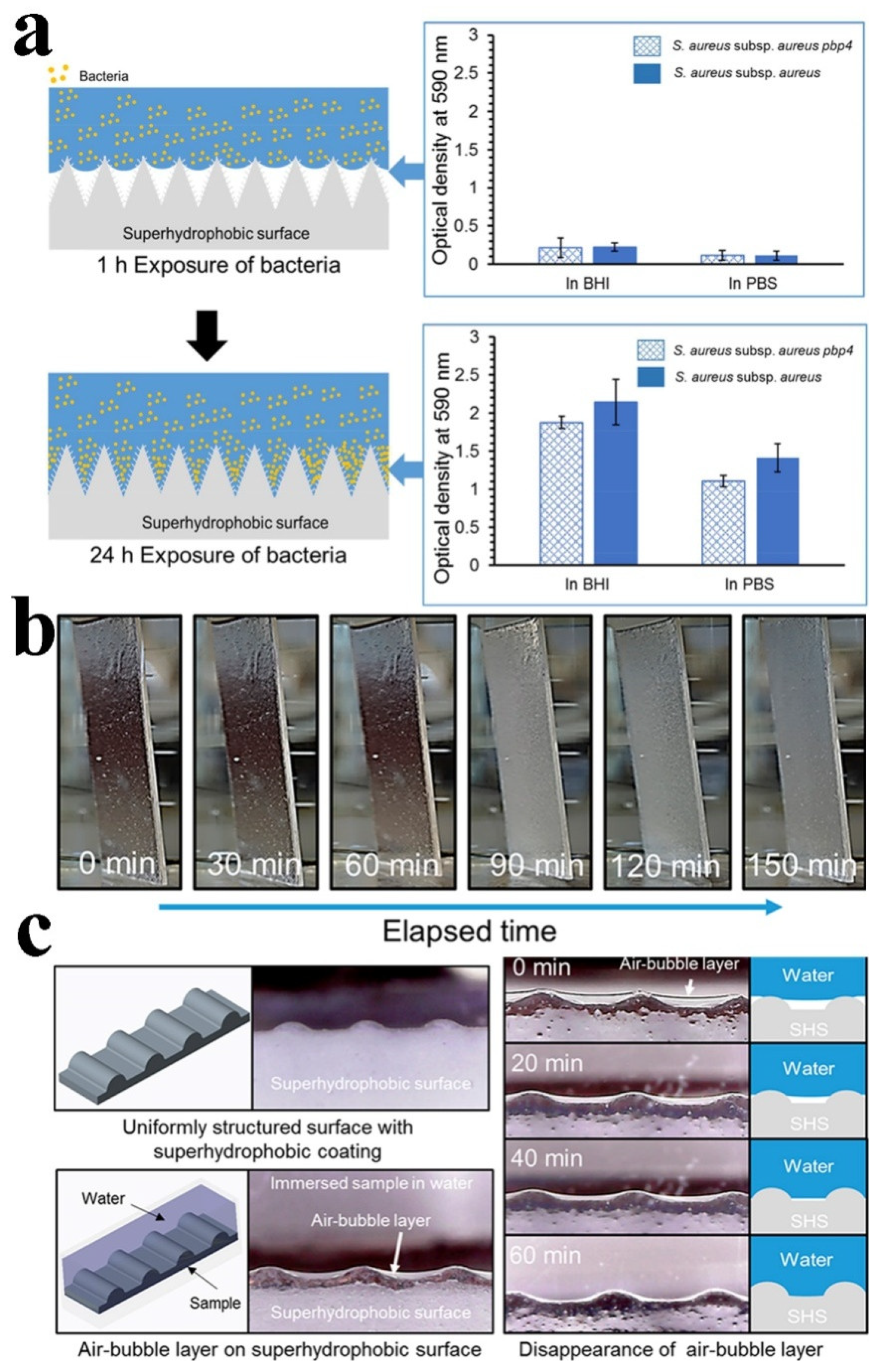 Molecules 26 02592 g007