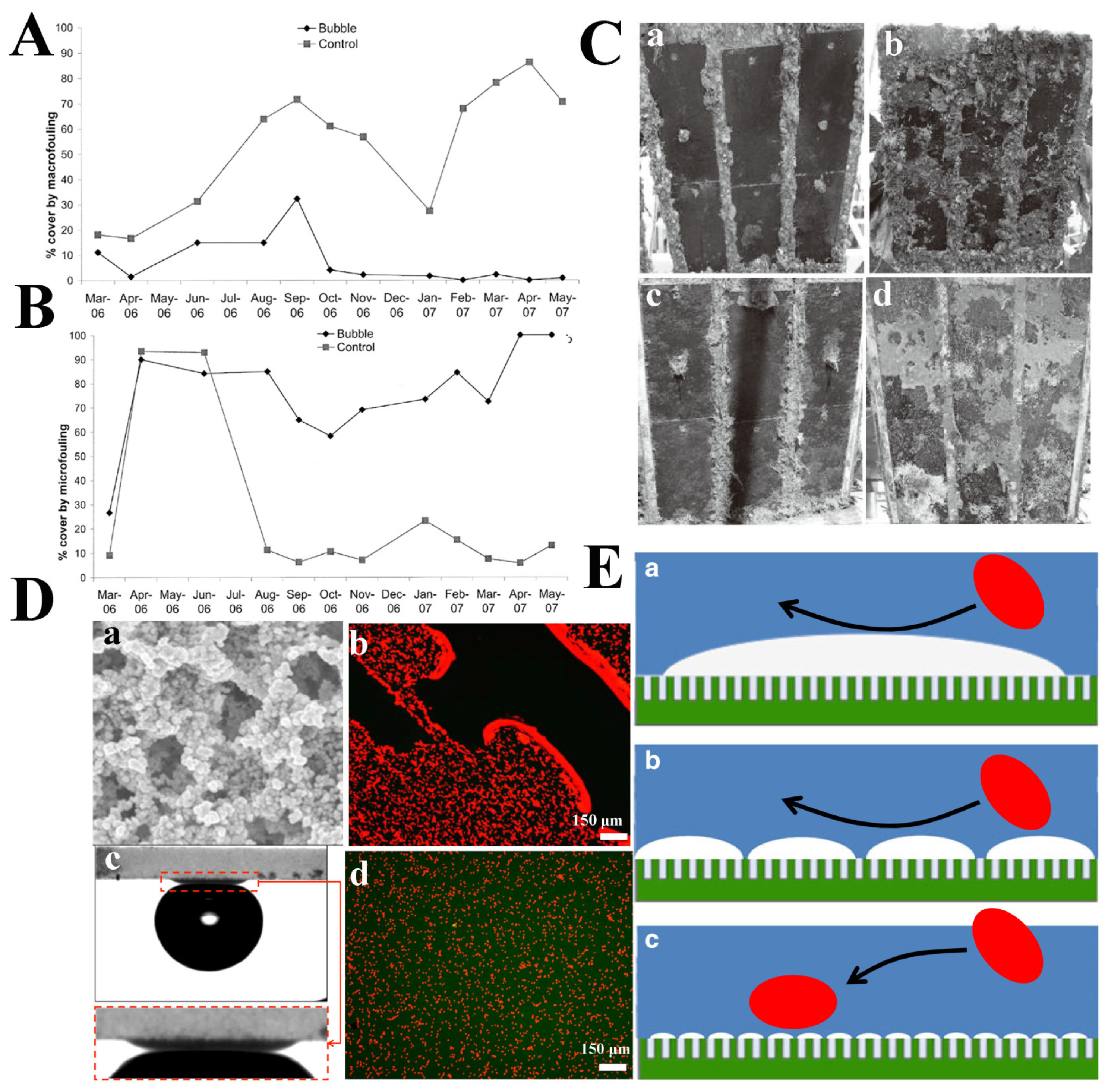 Molecules 26 02592 g008
