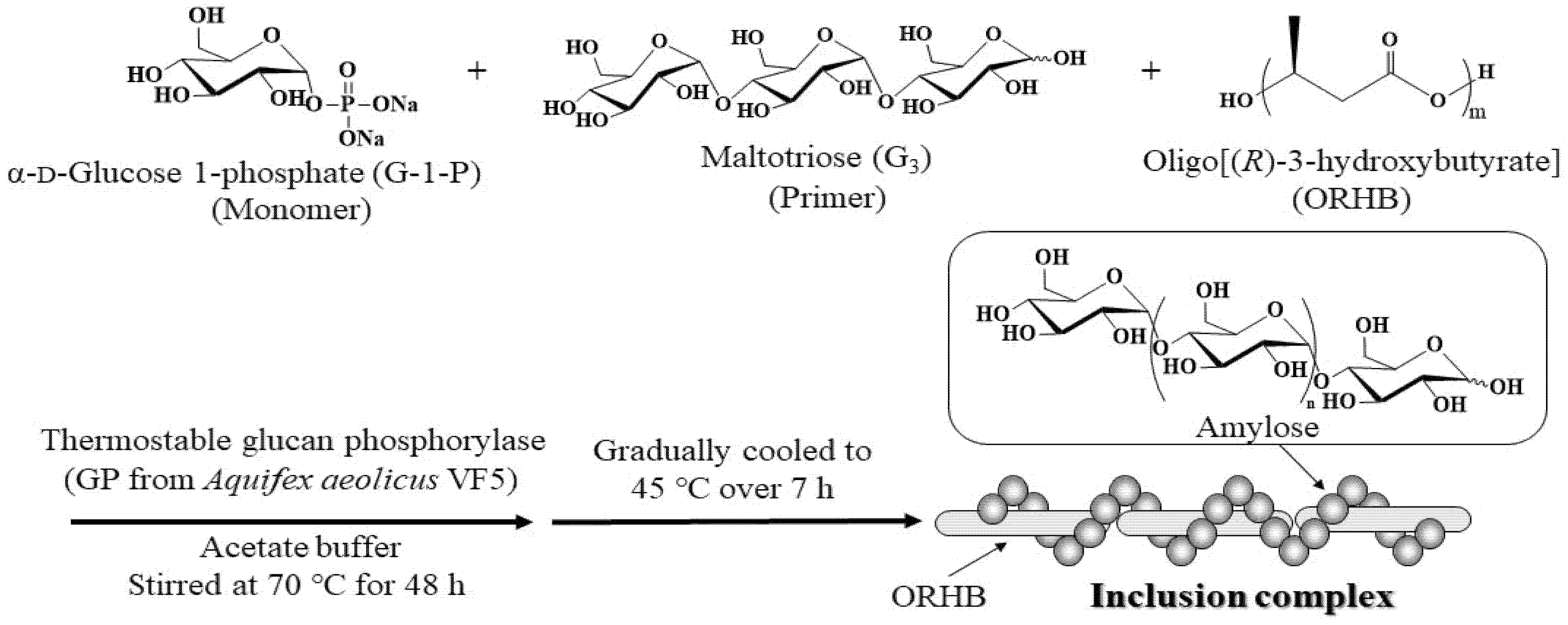 Molecules 26 02595 sch001