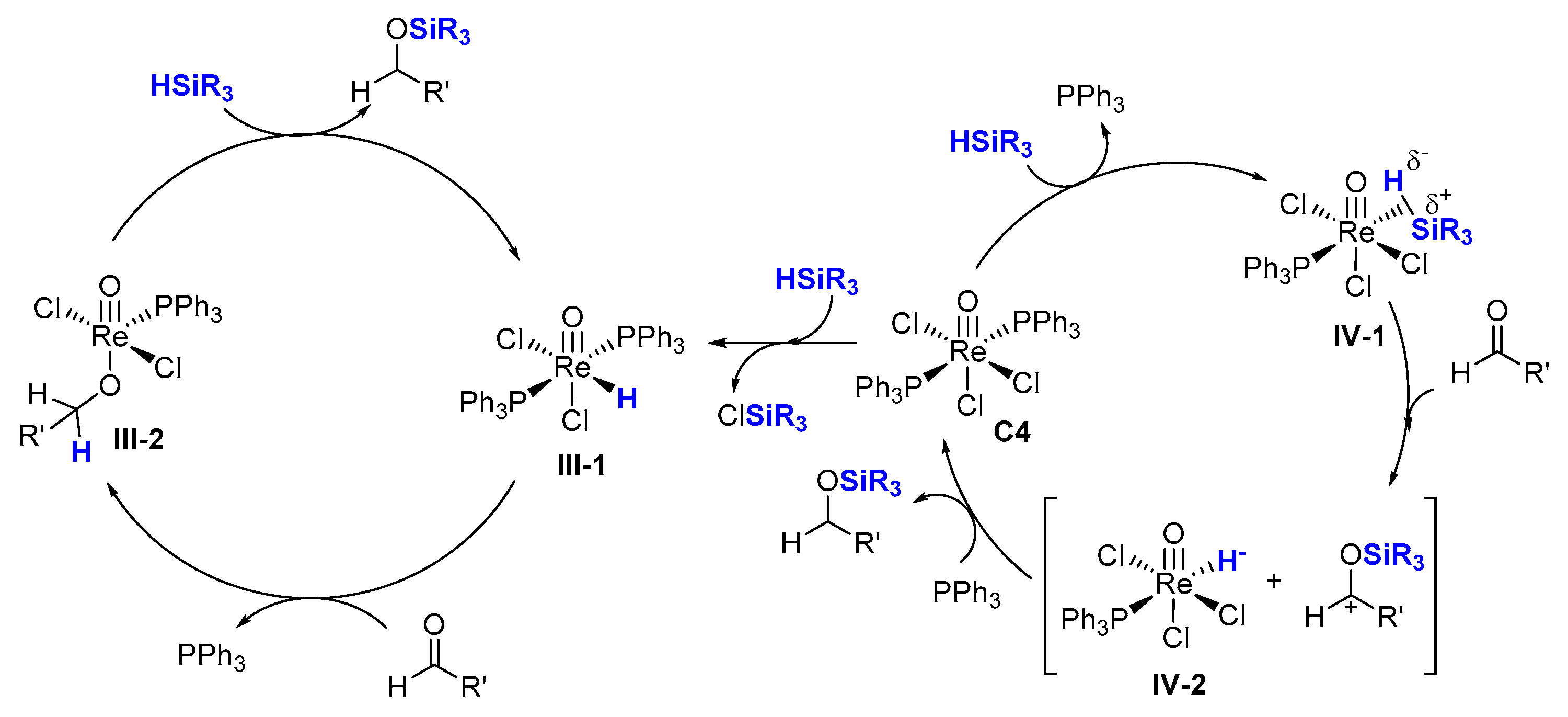 Molecules 26 02598 sch005