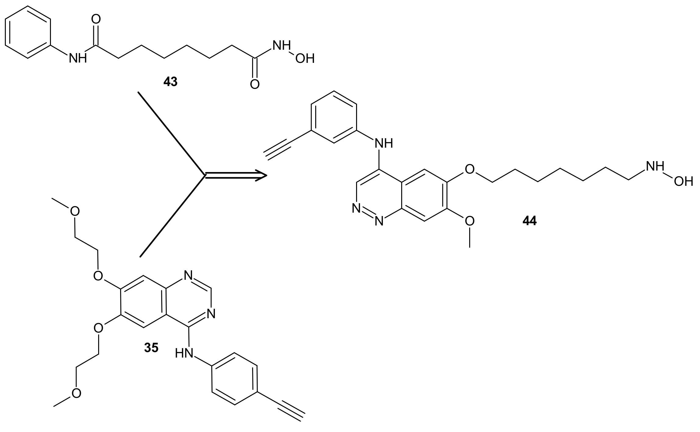 Molecules 26 02601 g023