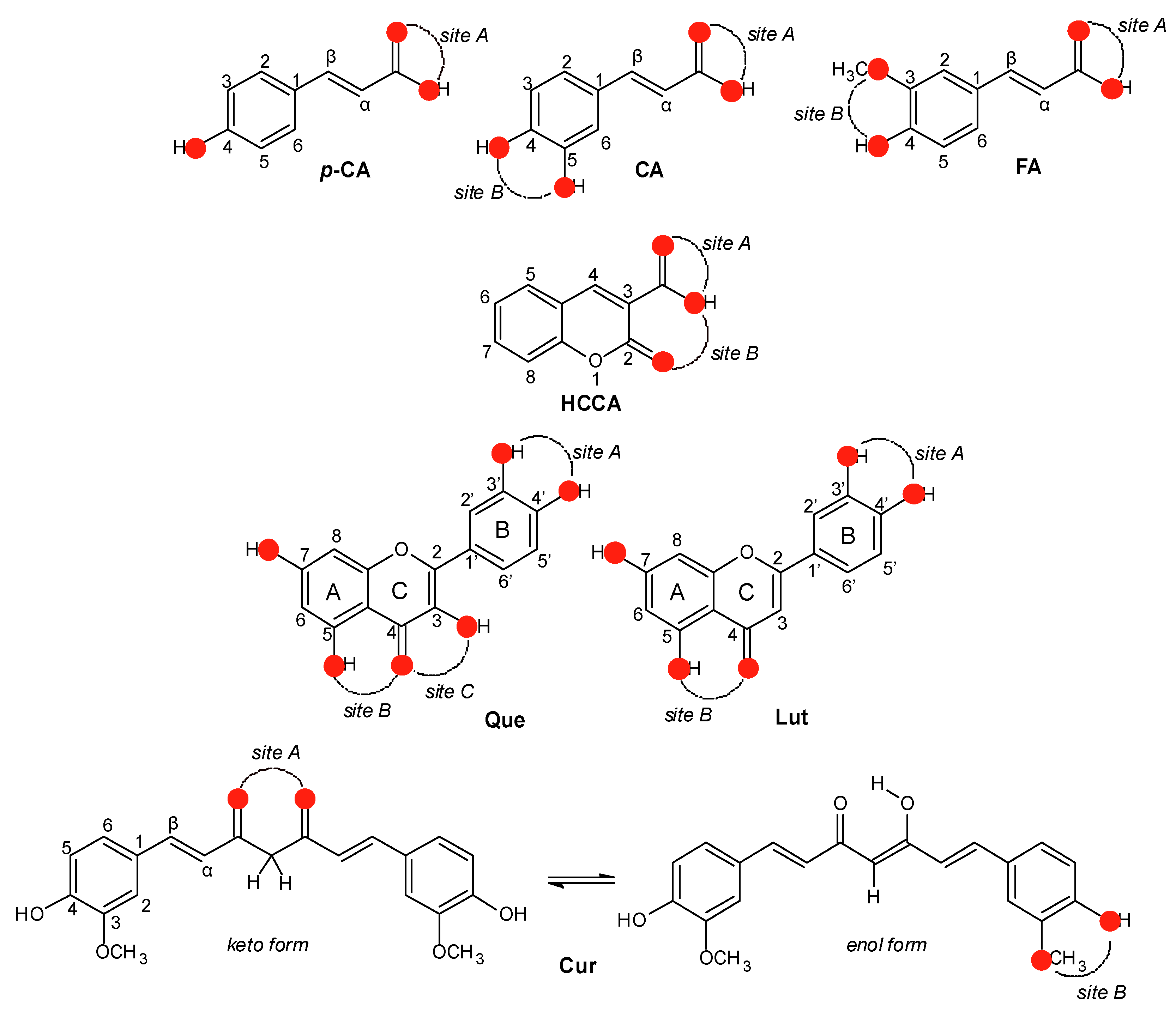 Molecules 26 02603 sch001