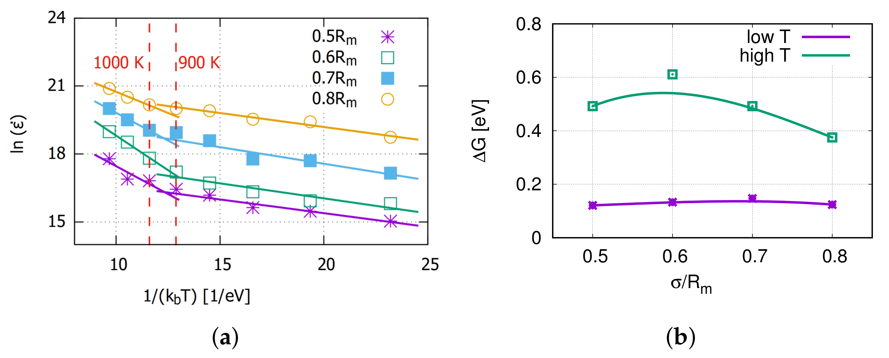 Molecules 26 02606 g004