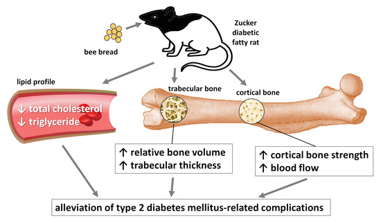 Magyar Diabetes Társaság