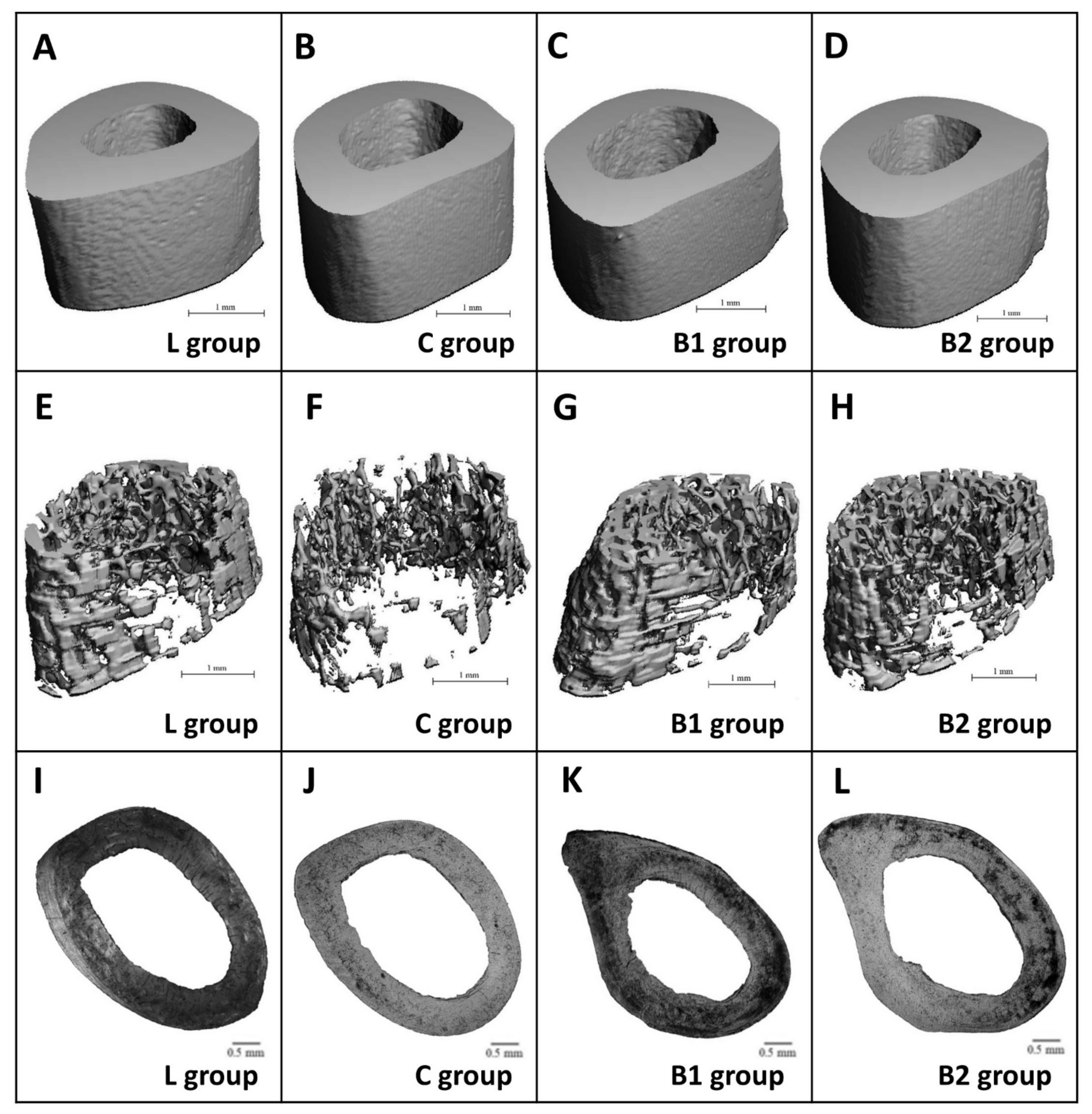 Molecules 26 02616 g004 Molecules 26 02616 g004