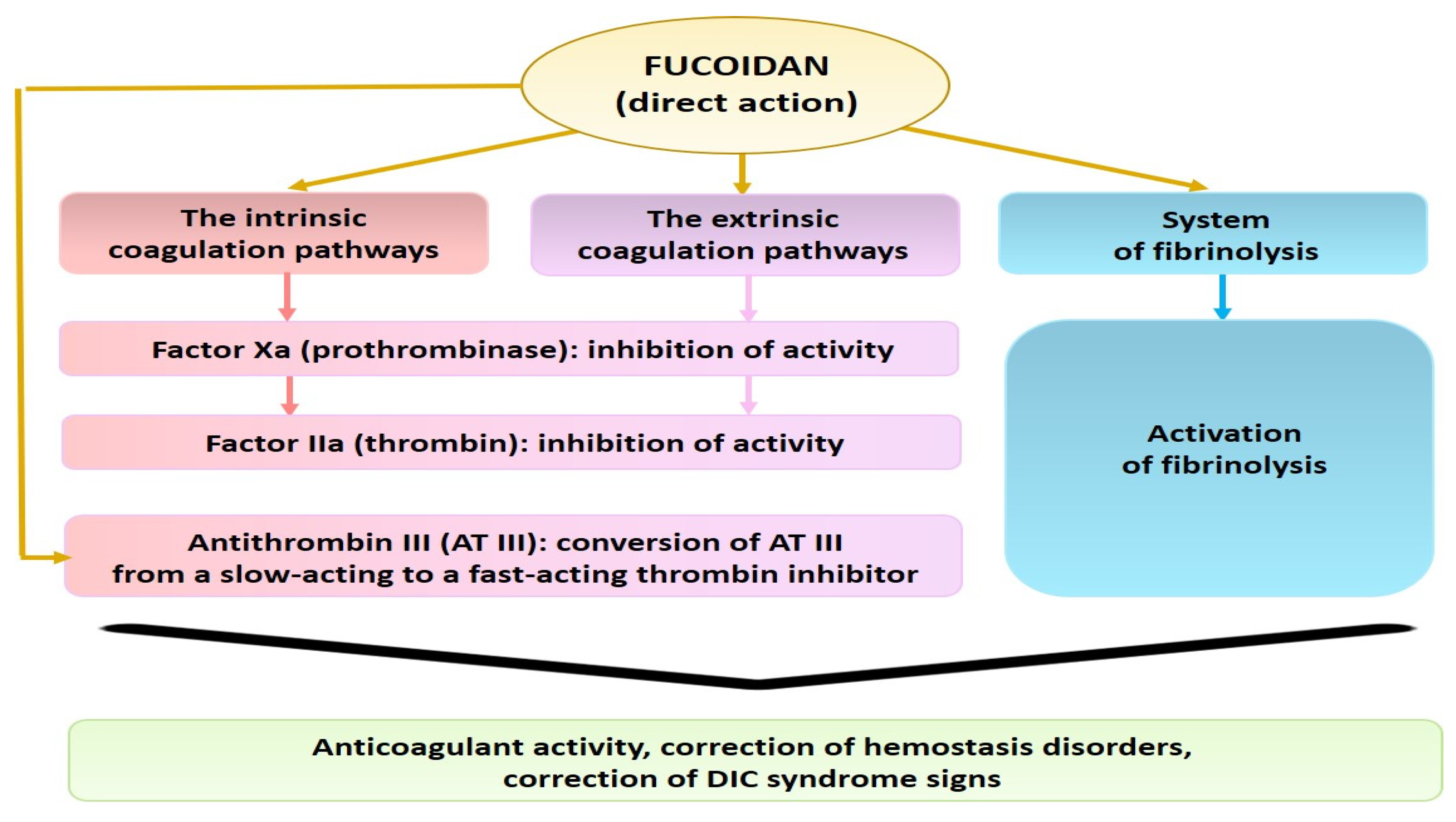 Molecules 26 02618 g004