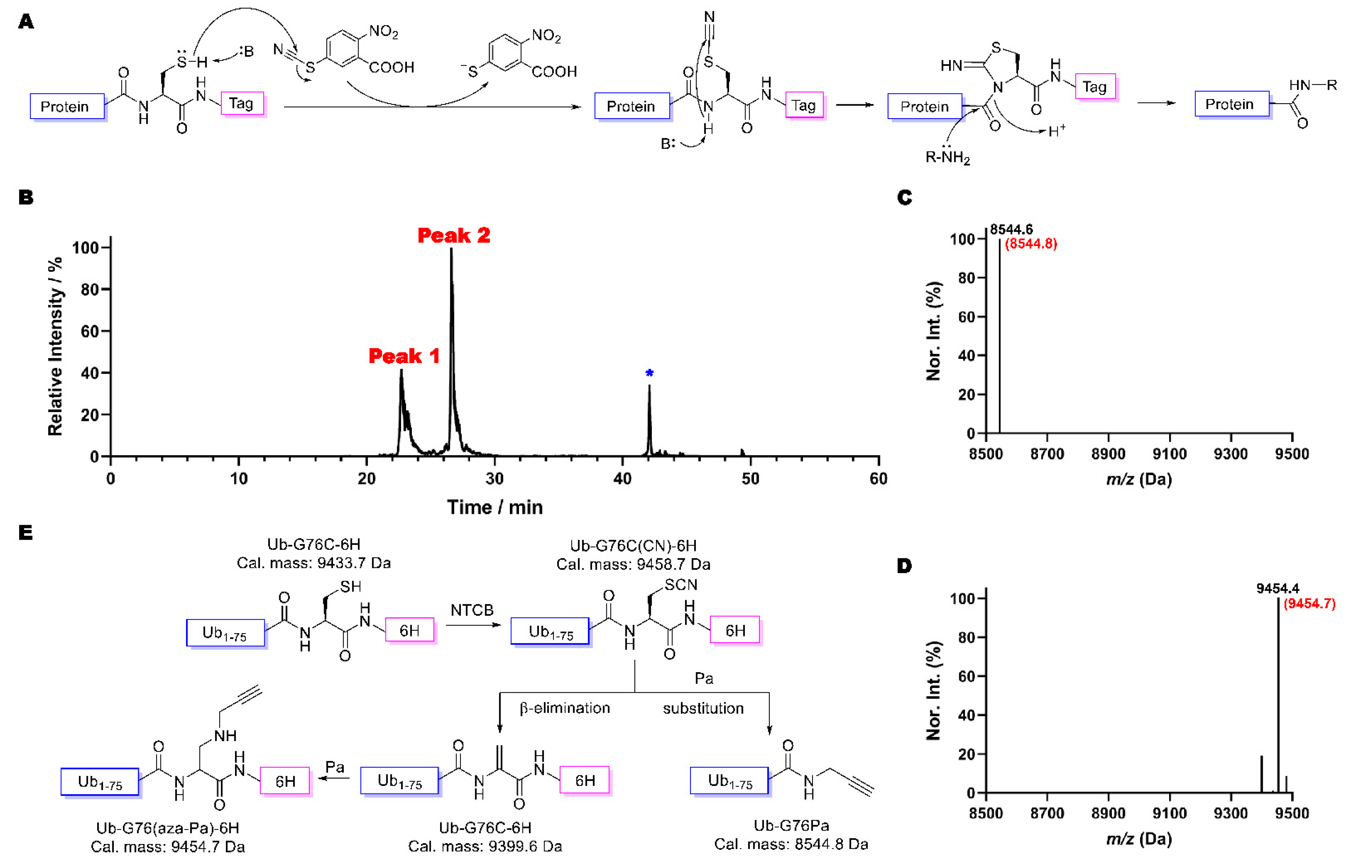 Molecules 26 02619 g001
