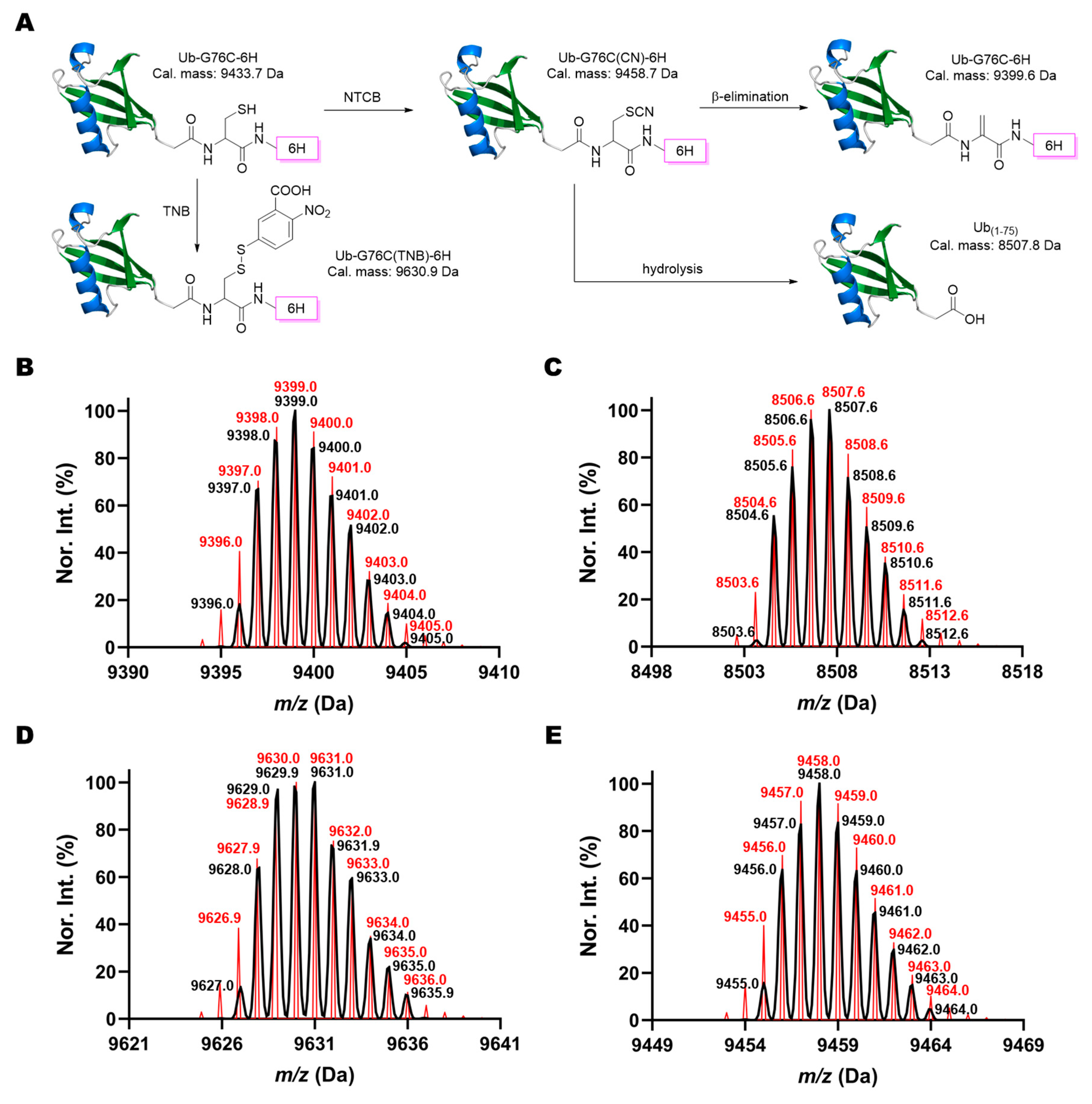 Molecules 26 02619 g002