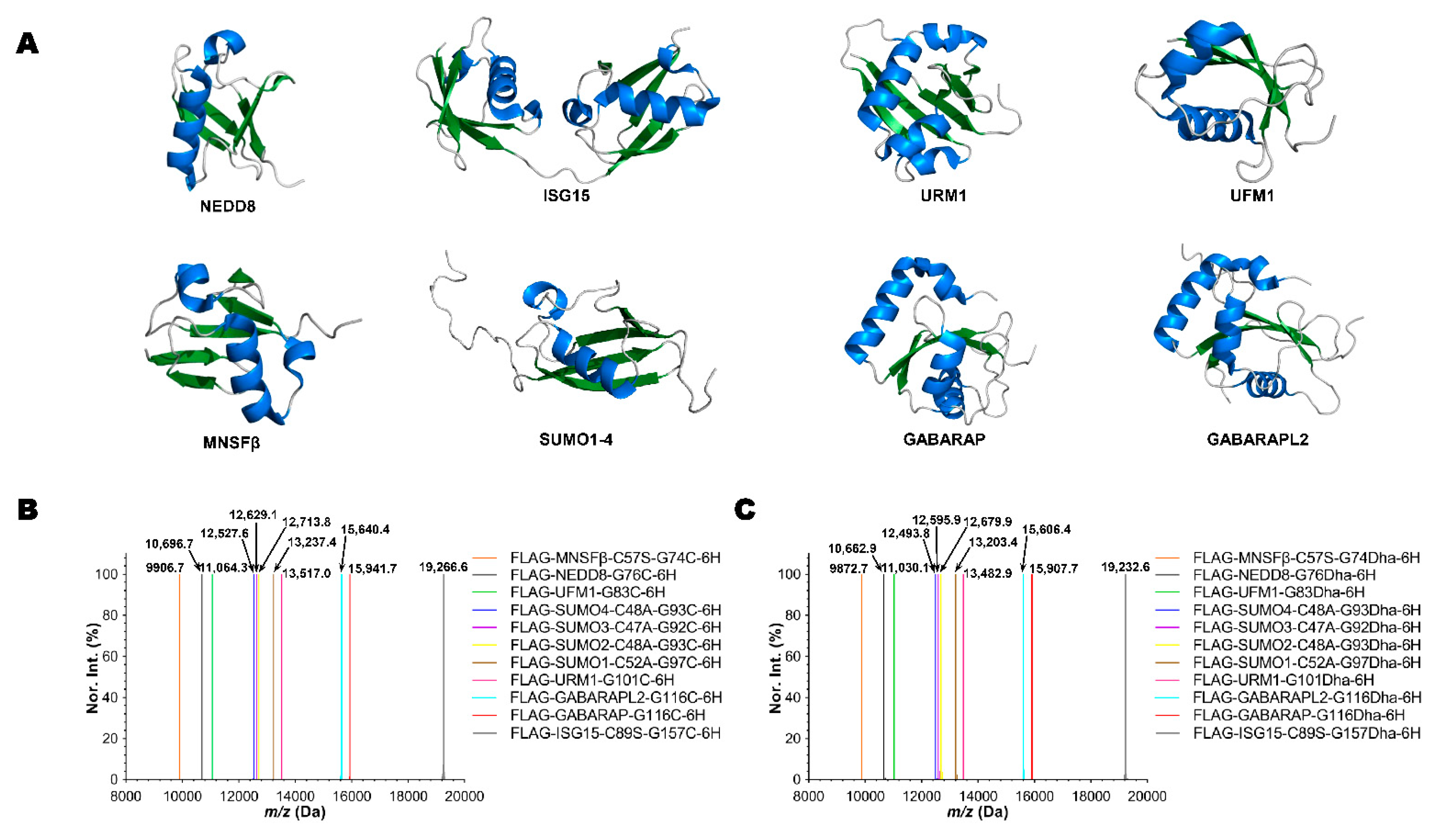 Molecules 26 02619 g003