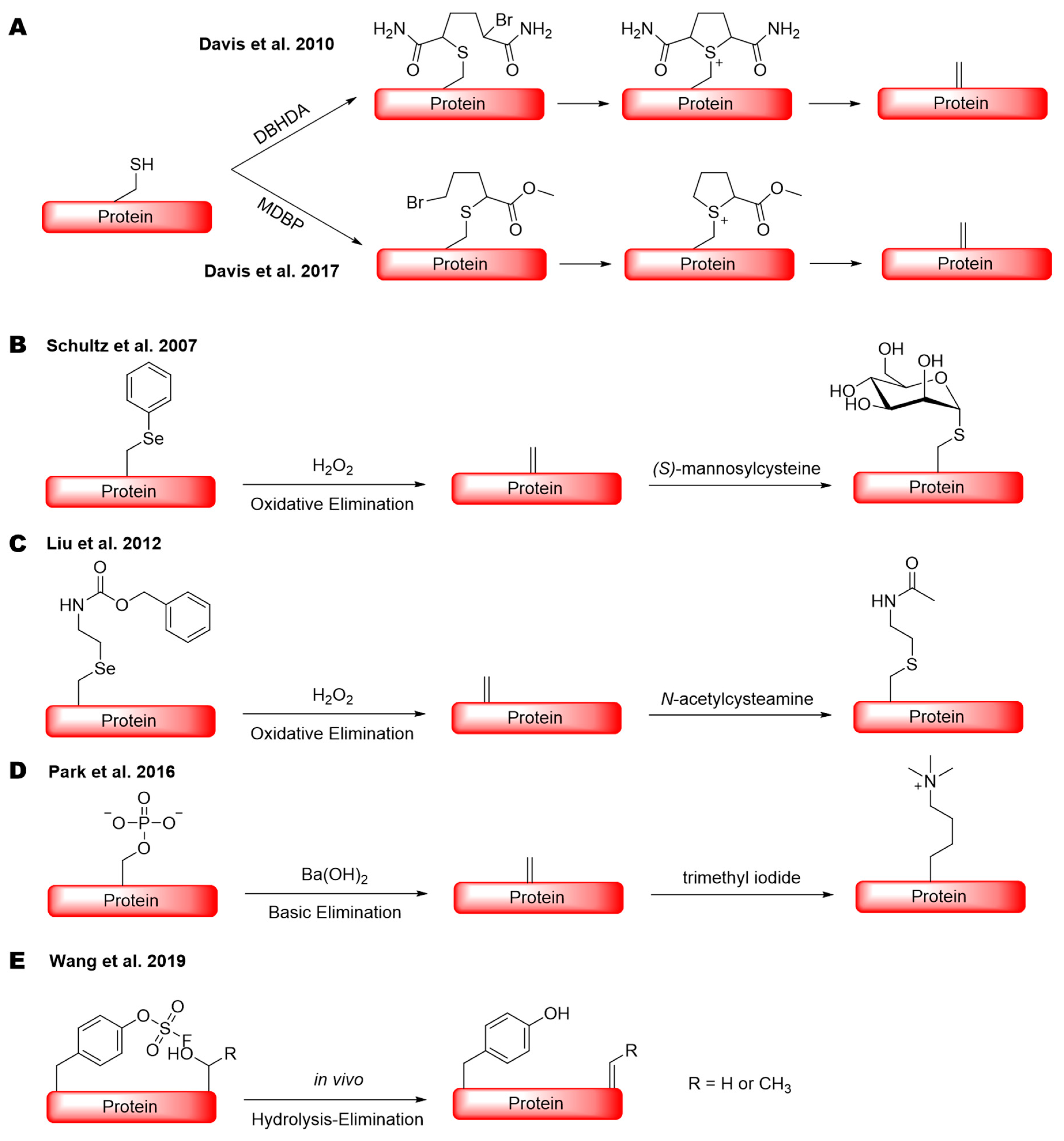 Molecules 26 02619 sch001