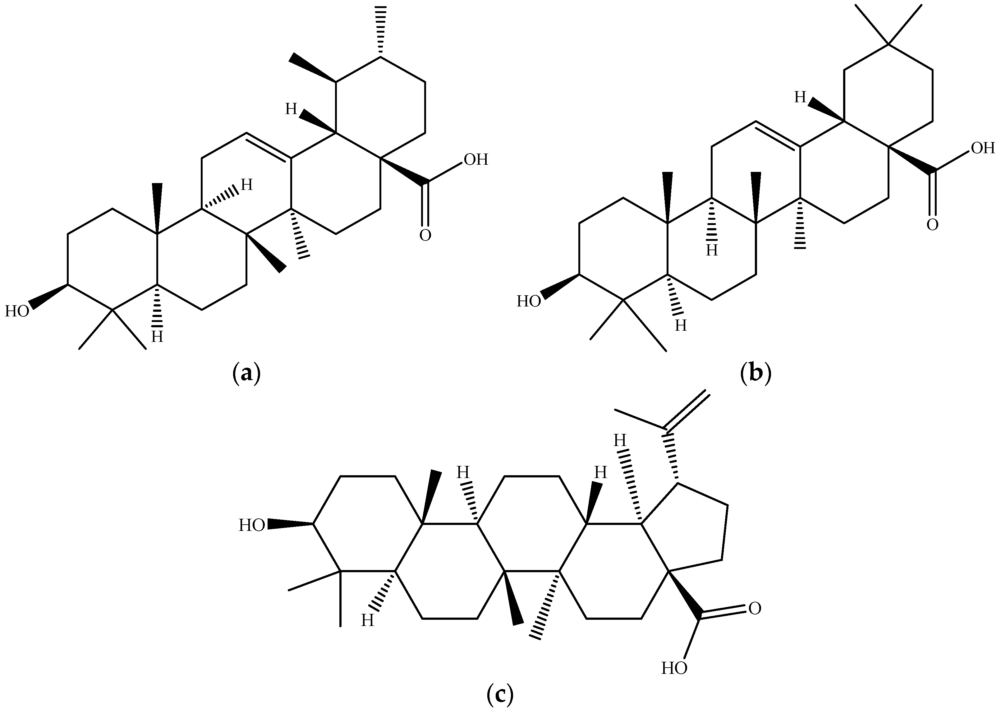 Molecules 26 02624 g013