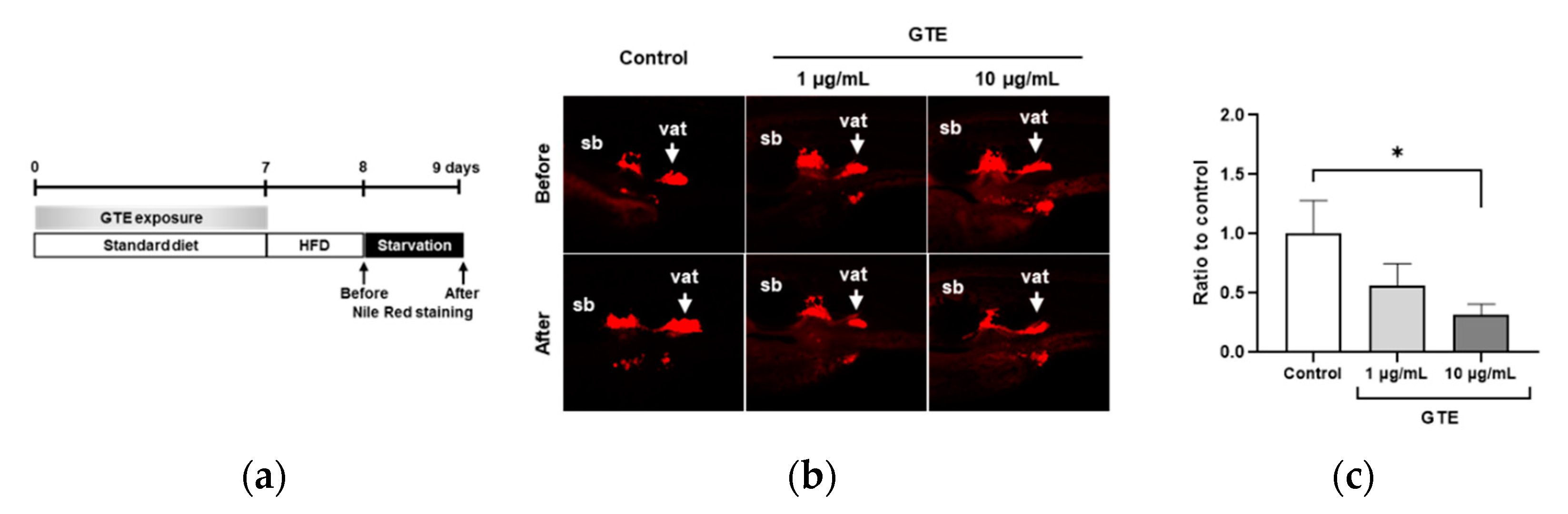 Molecules 26 02627 g001