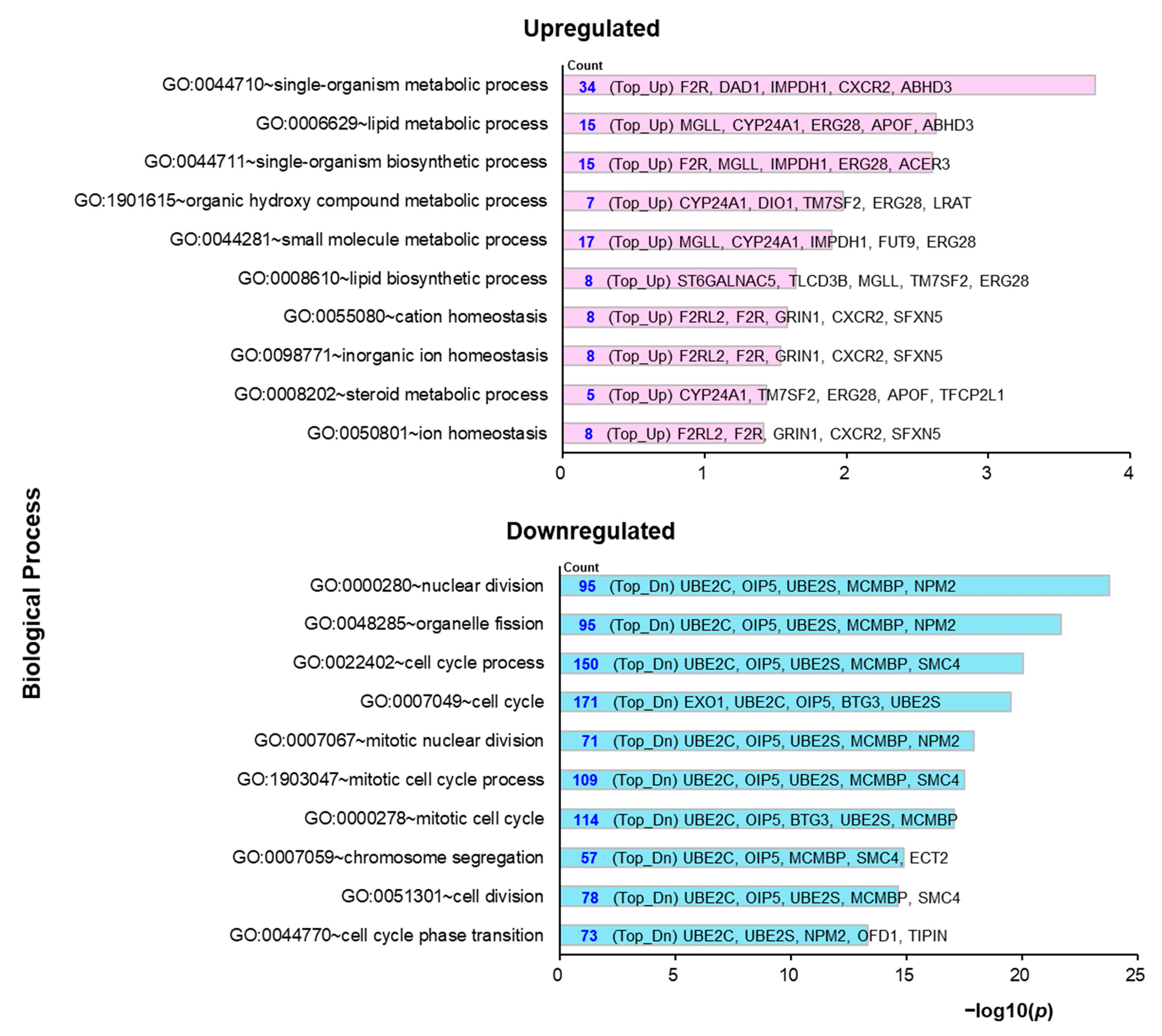 Molecules 26 02627 g003