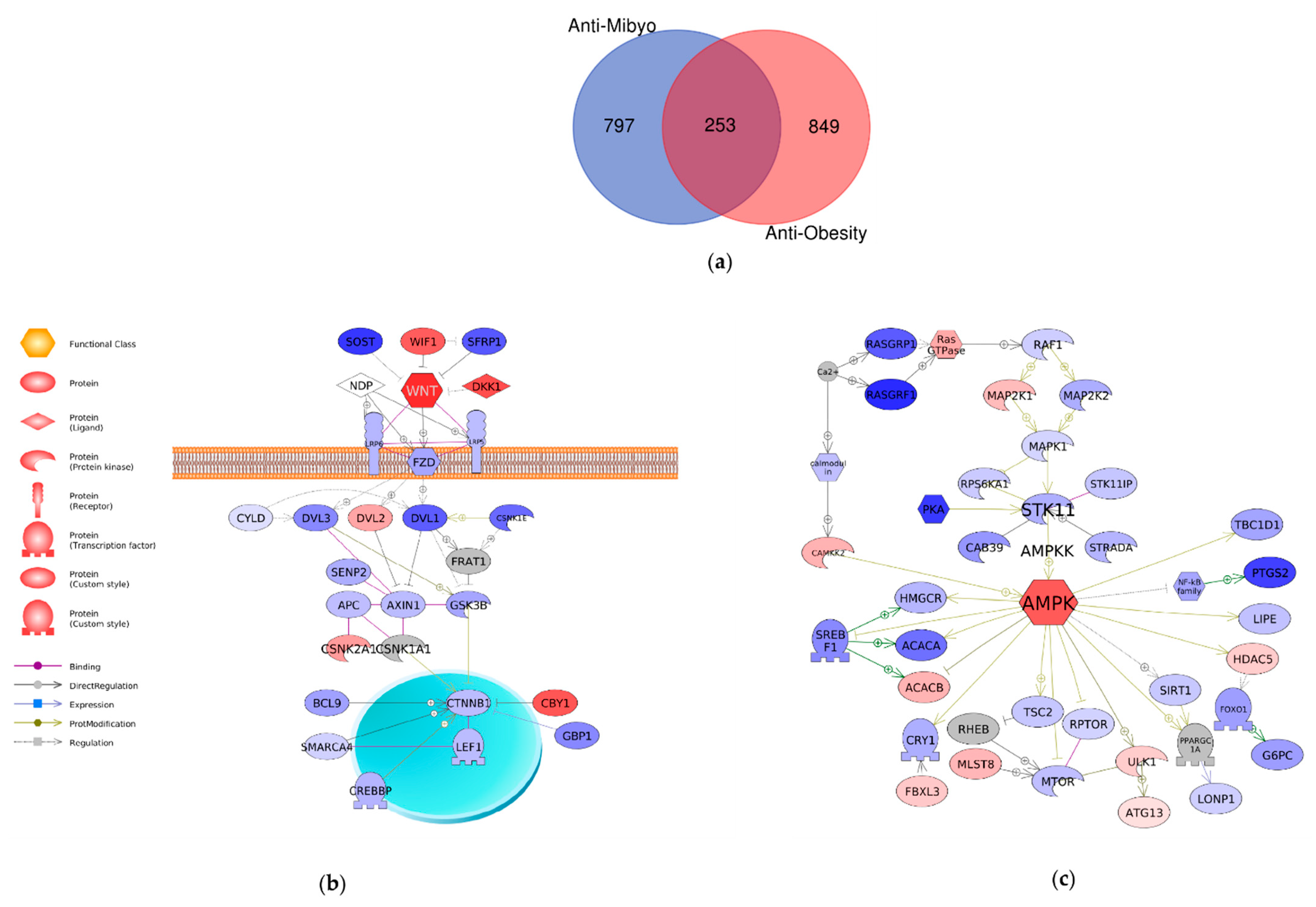 Molecules 26 02627 g004