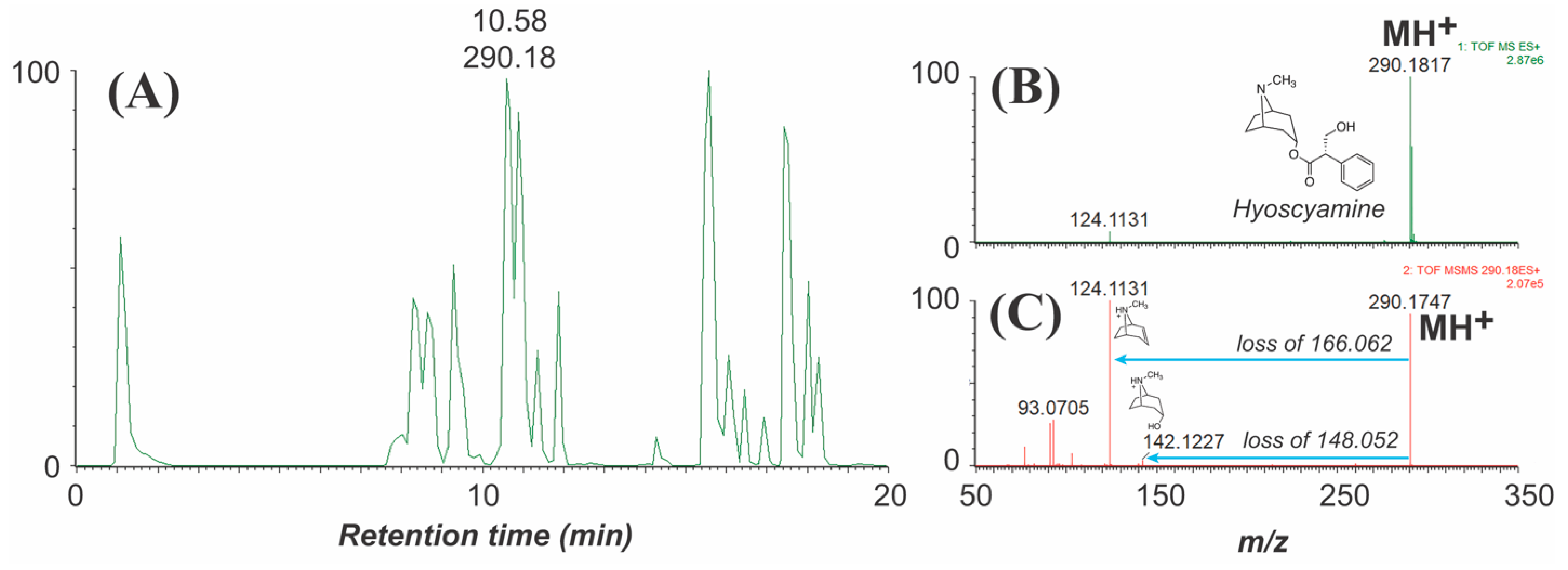 Molecules 26 02629 g003
