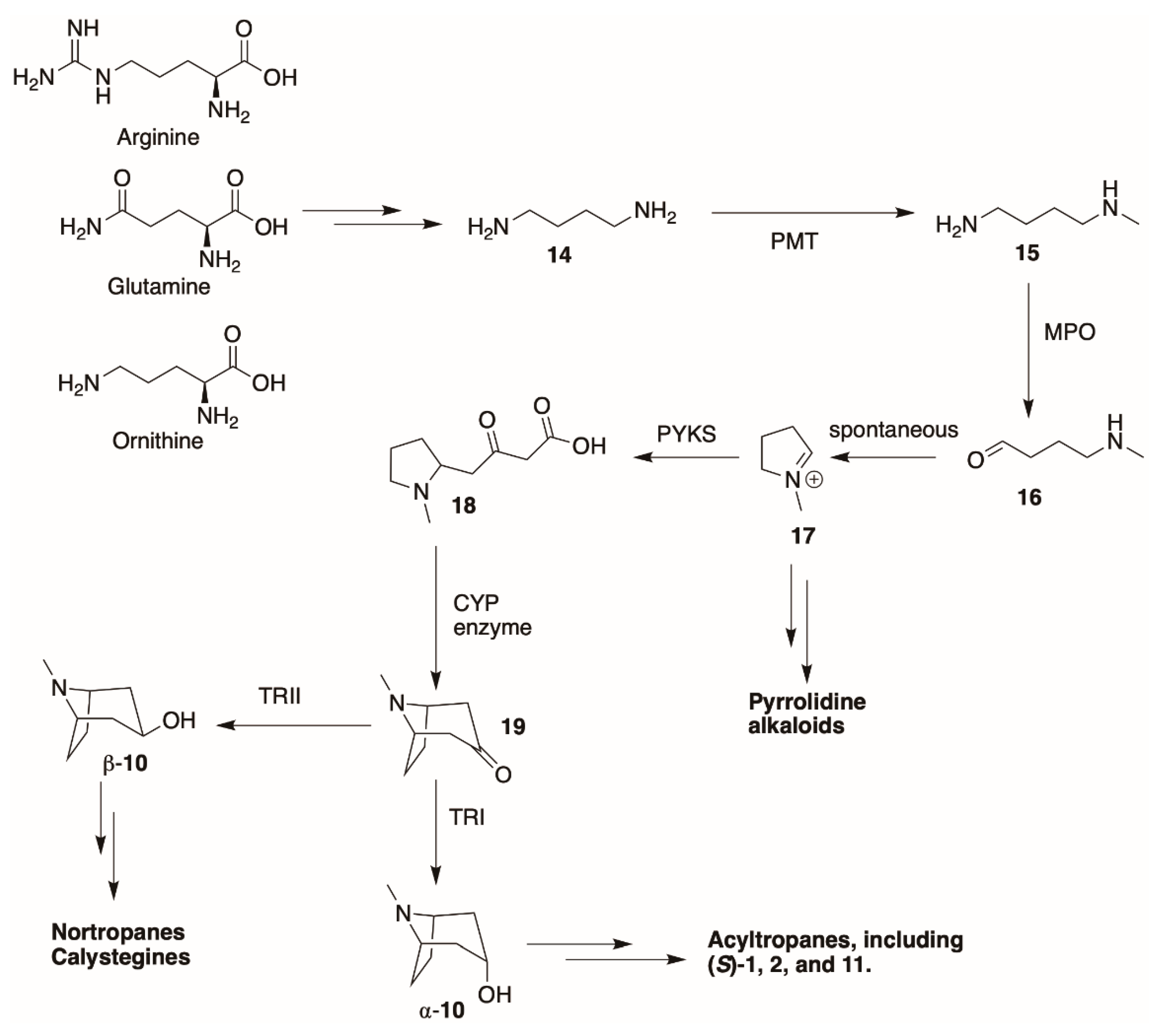 Molecules 26 02629 g006