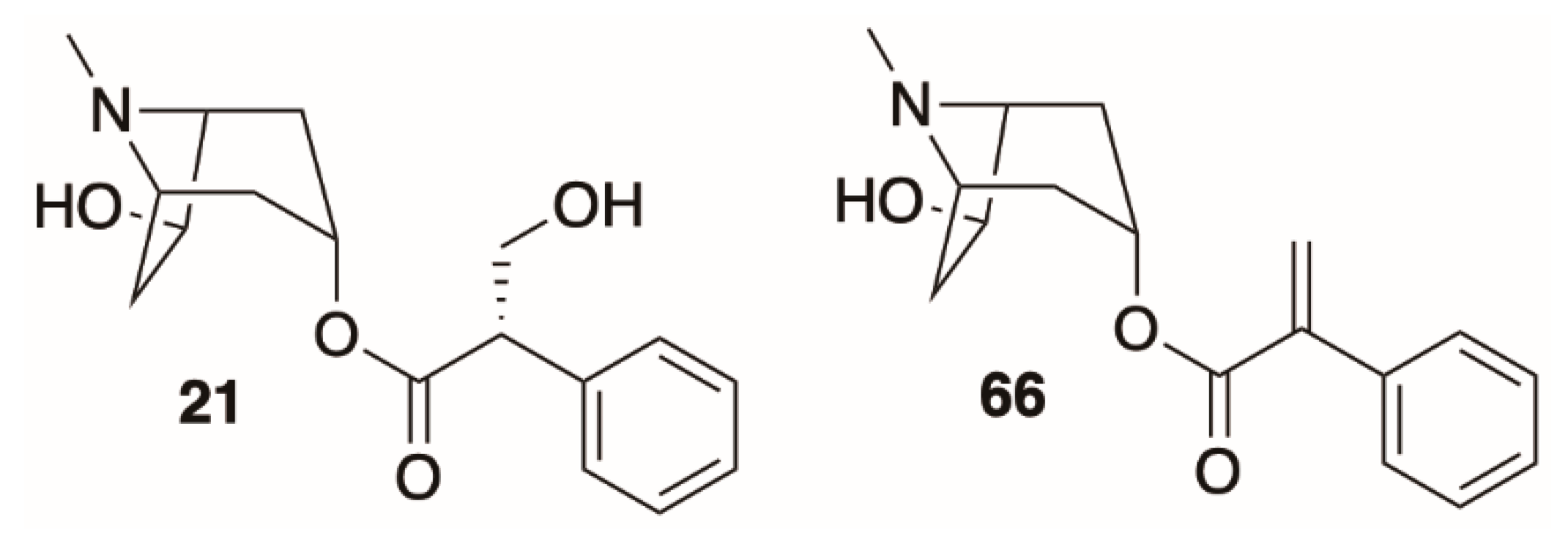 Molecules 26 02629 g007