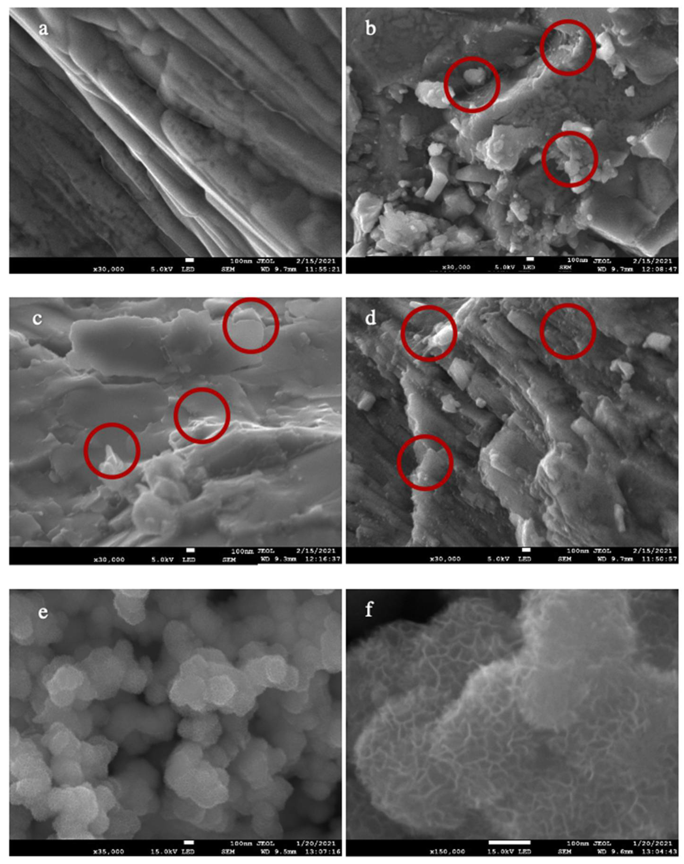 Molecules 26 02631 g001