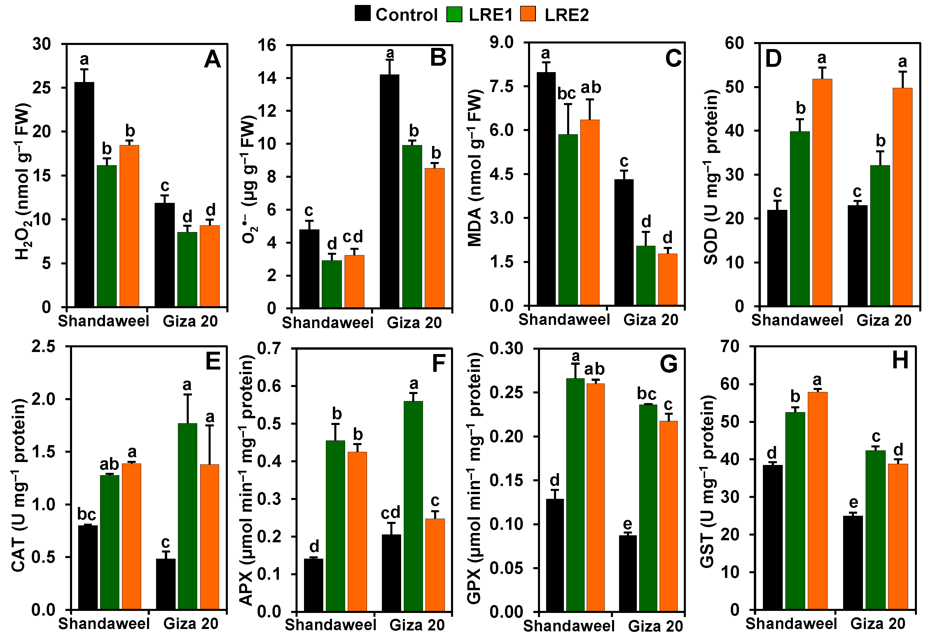 Molecules 26 02633 g002
