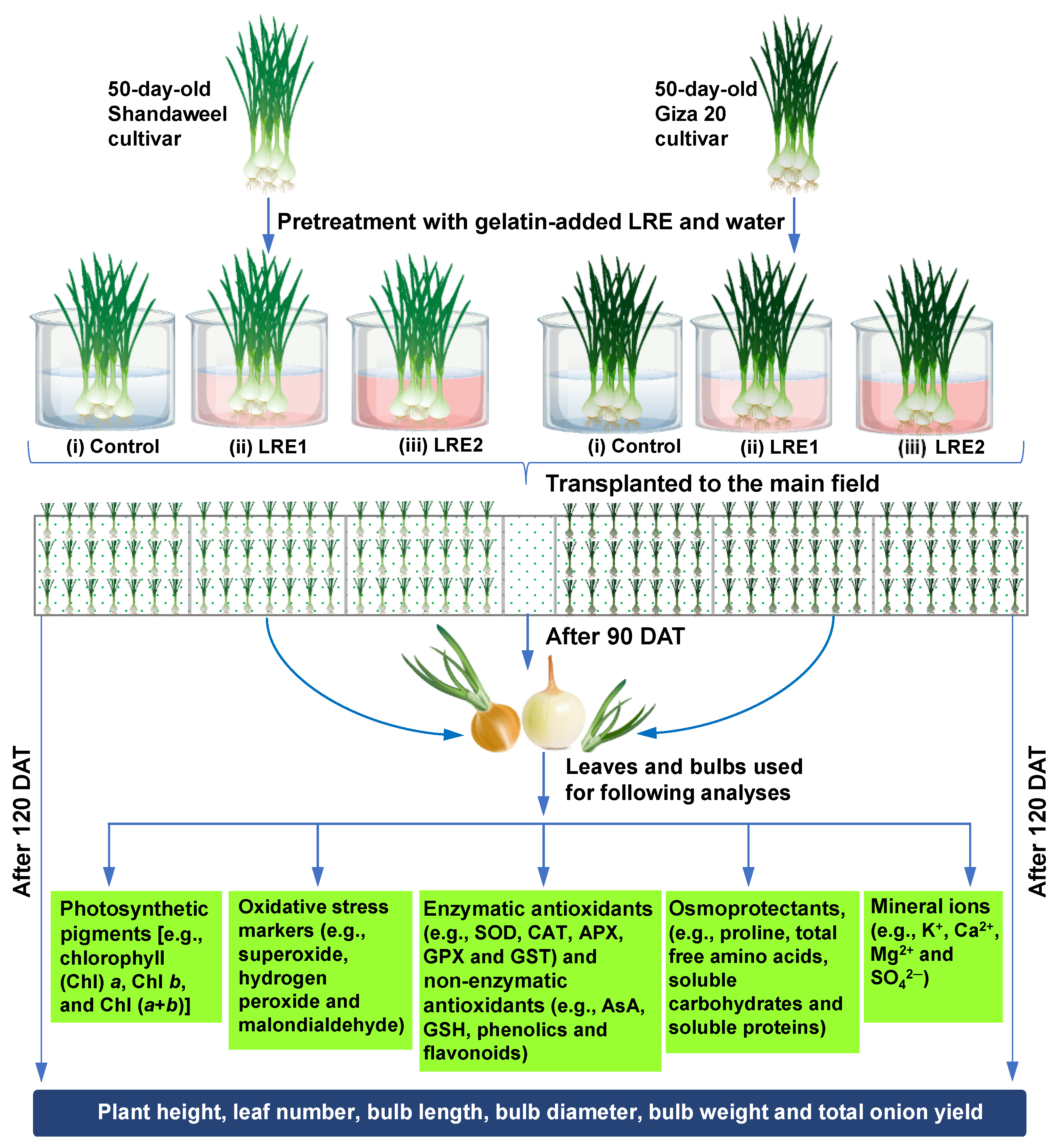 Molecules 26 02633 g007