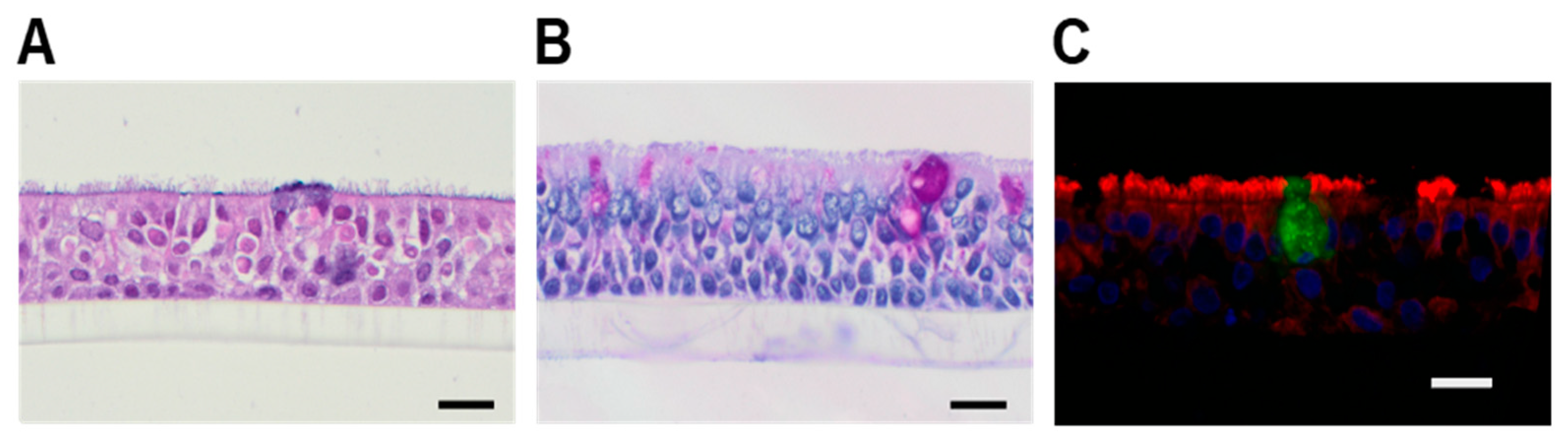 Molecules 26 02639 g001 Molecules 26 02639 g001