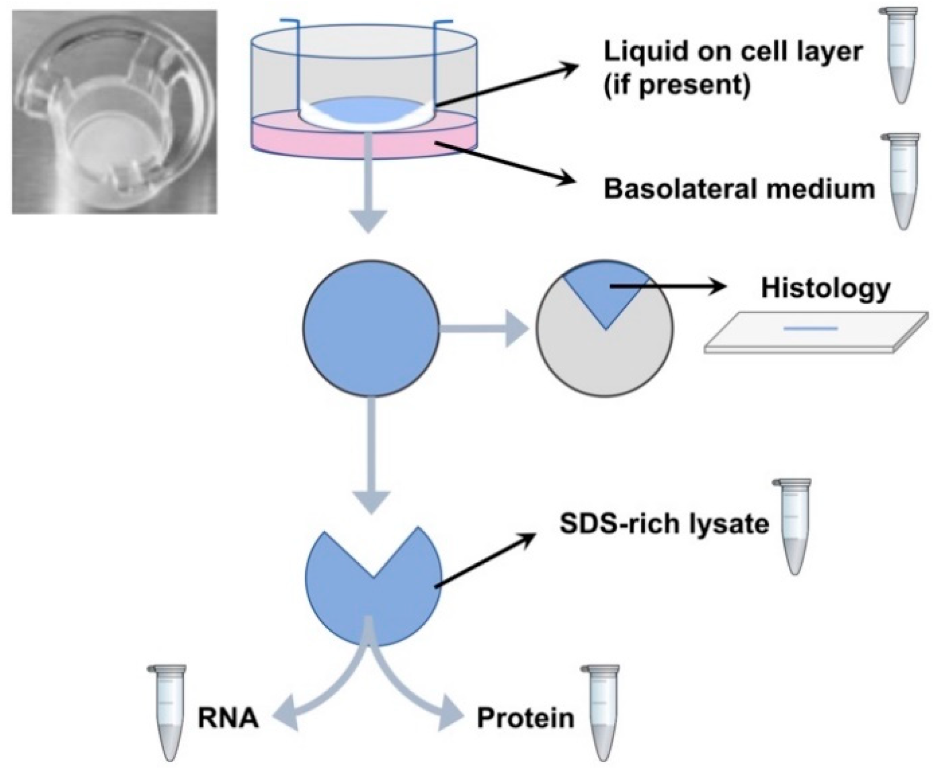 Molecules 26 02639 g002 Molecules 26 02639 g002