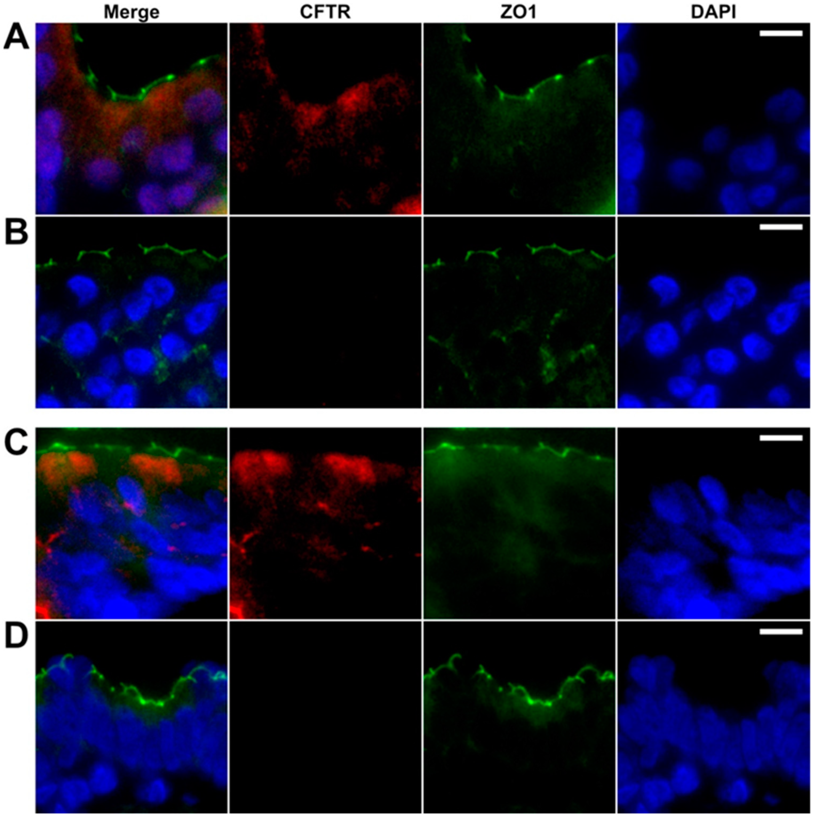 Molecules 26 02639 g003 Molecules 26 02639 g003