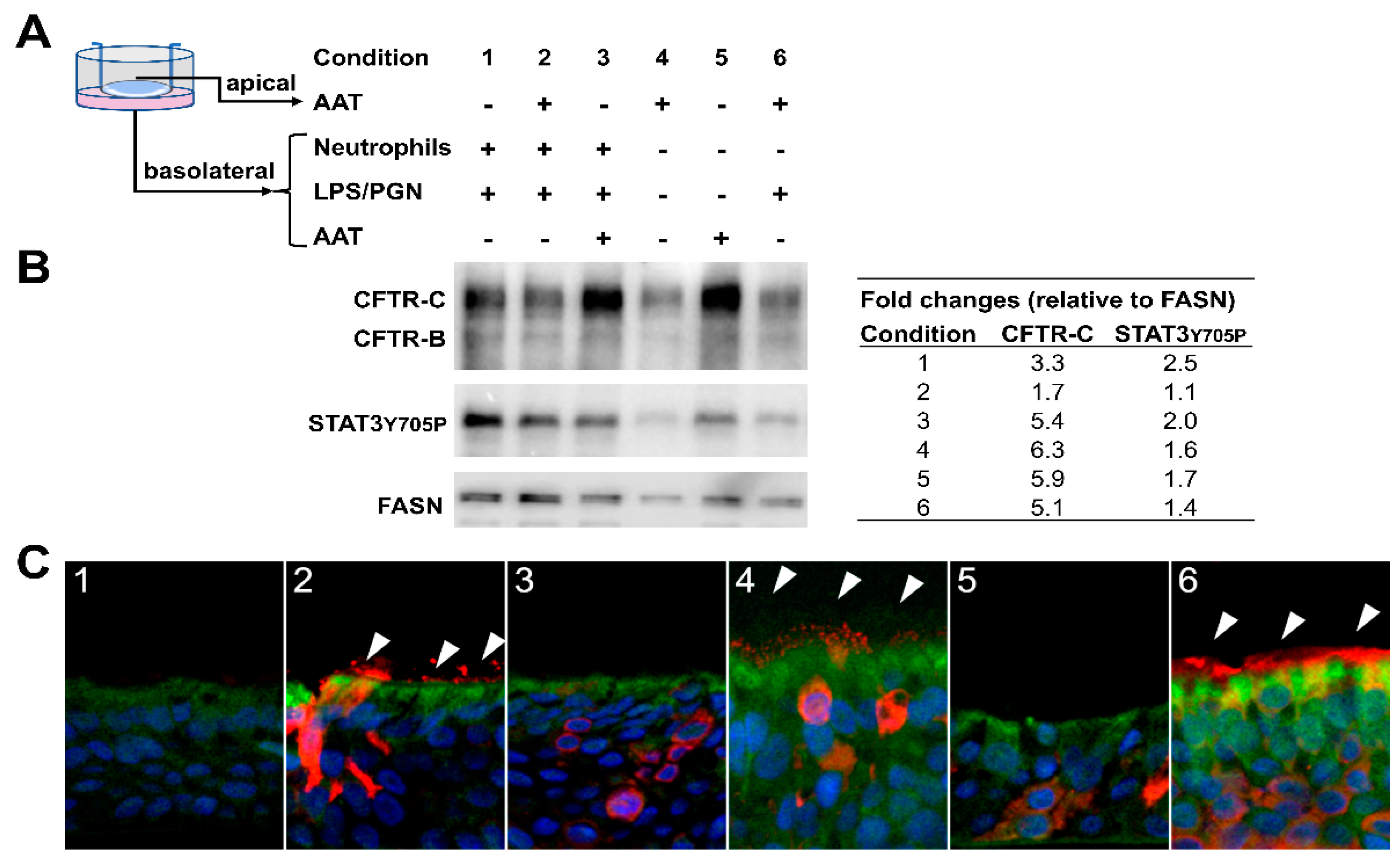 Molecules 26 02639 g007 Molecules 26 02639 g007