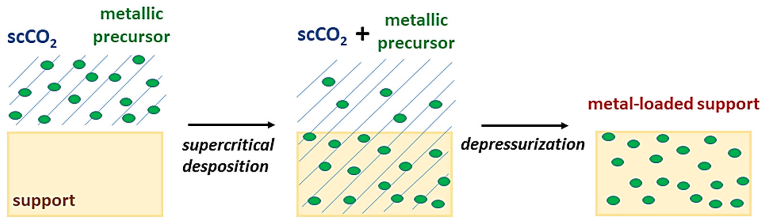 Molecules 26 02640 g001