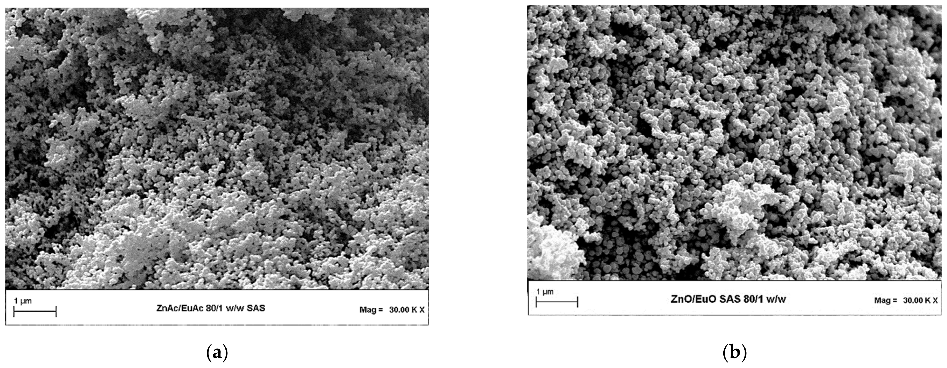 Molecules 26 02640 g003
