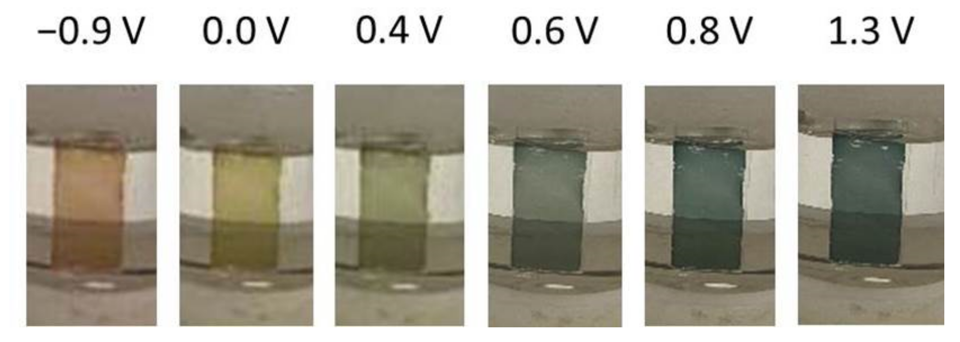 Molecules 26 02646 g010