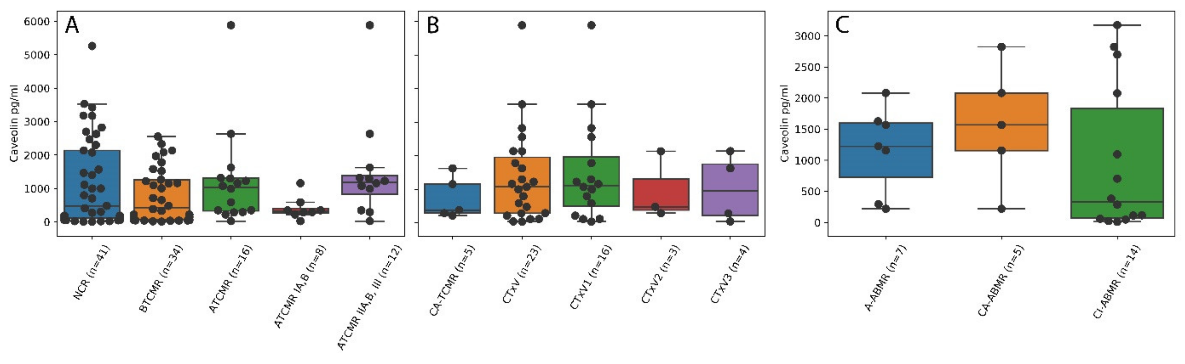 Molecules 26 02648 g002 Molecules 26 02648 g002