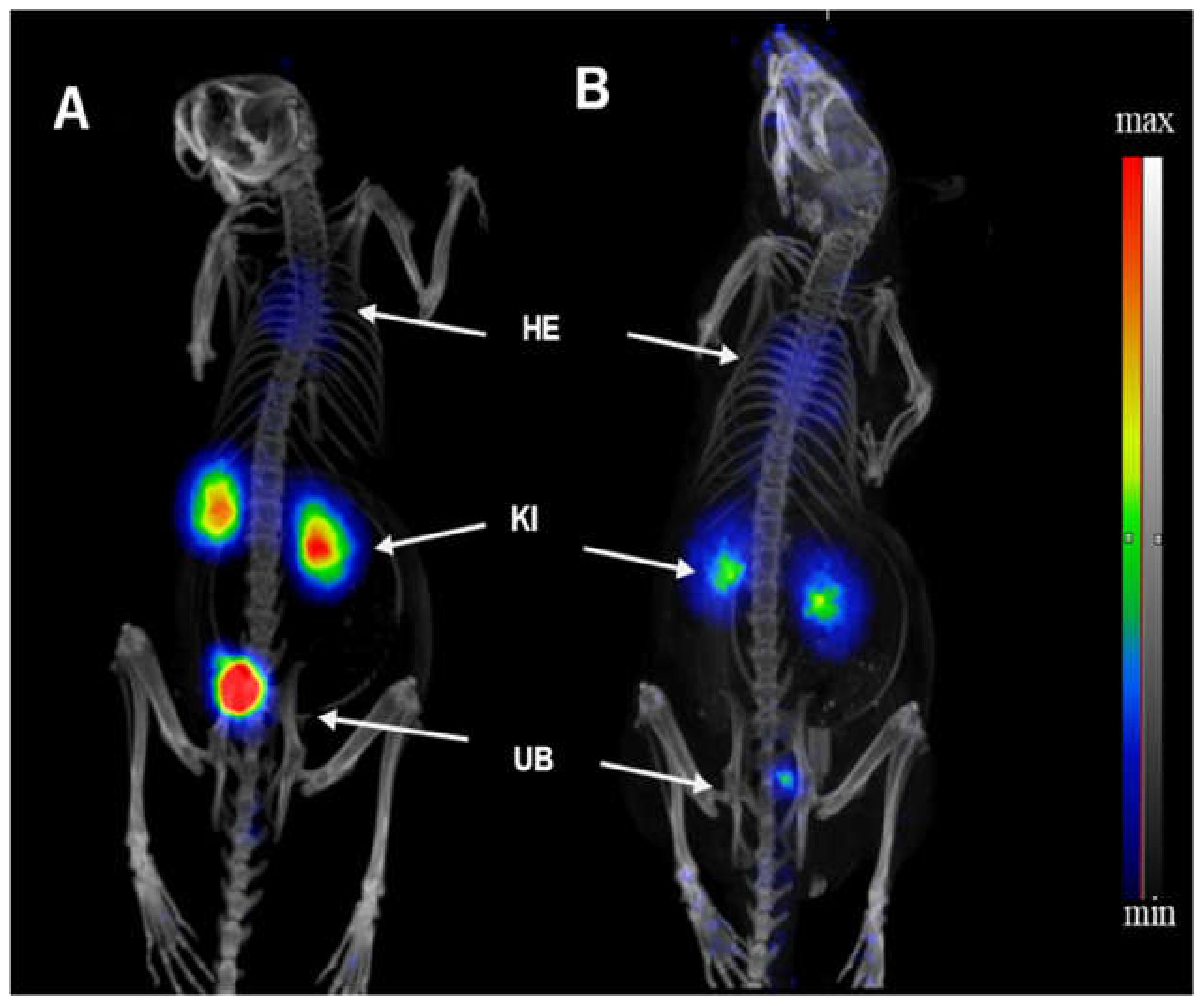 Molecules 26 02650 g001