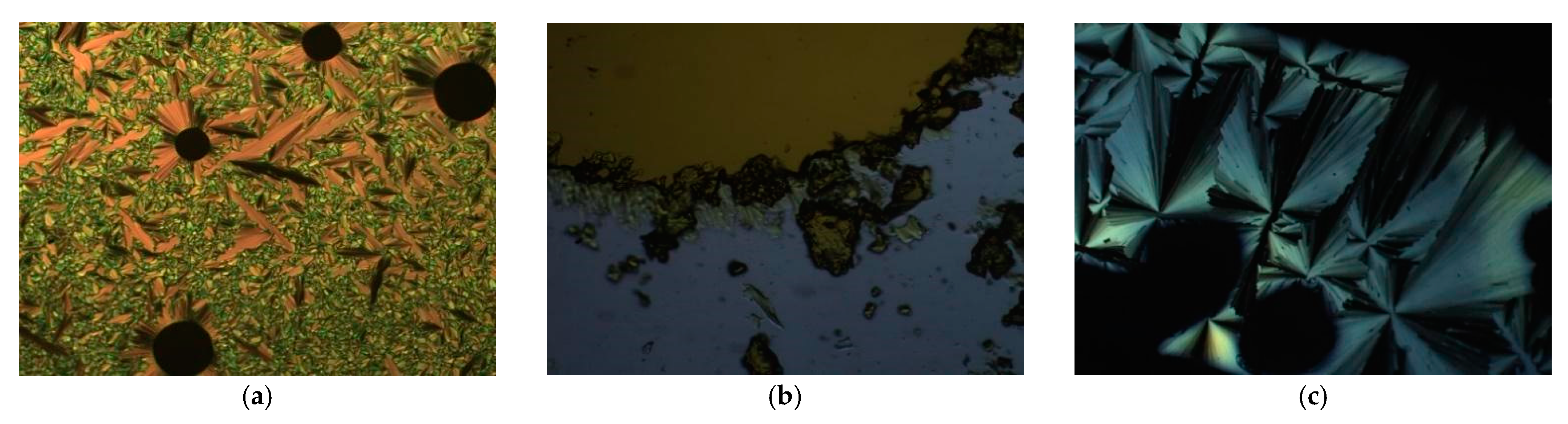 Molecules 26 02653 g003
