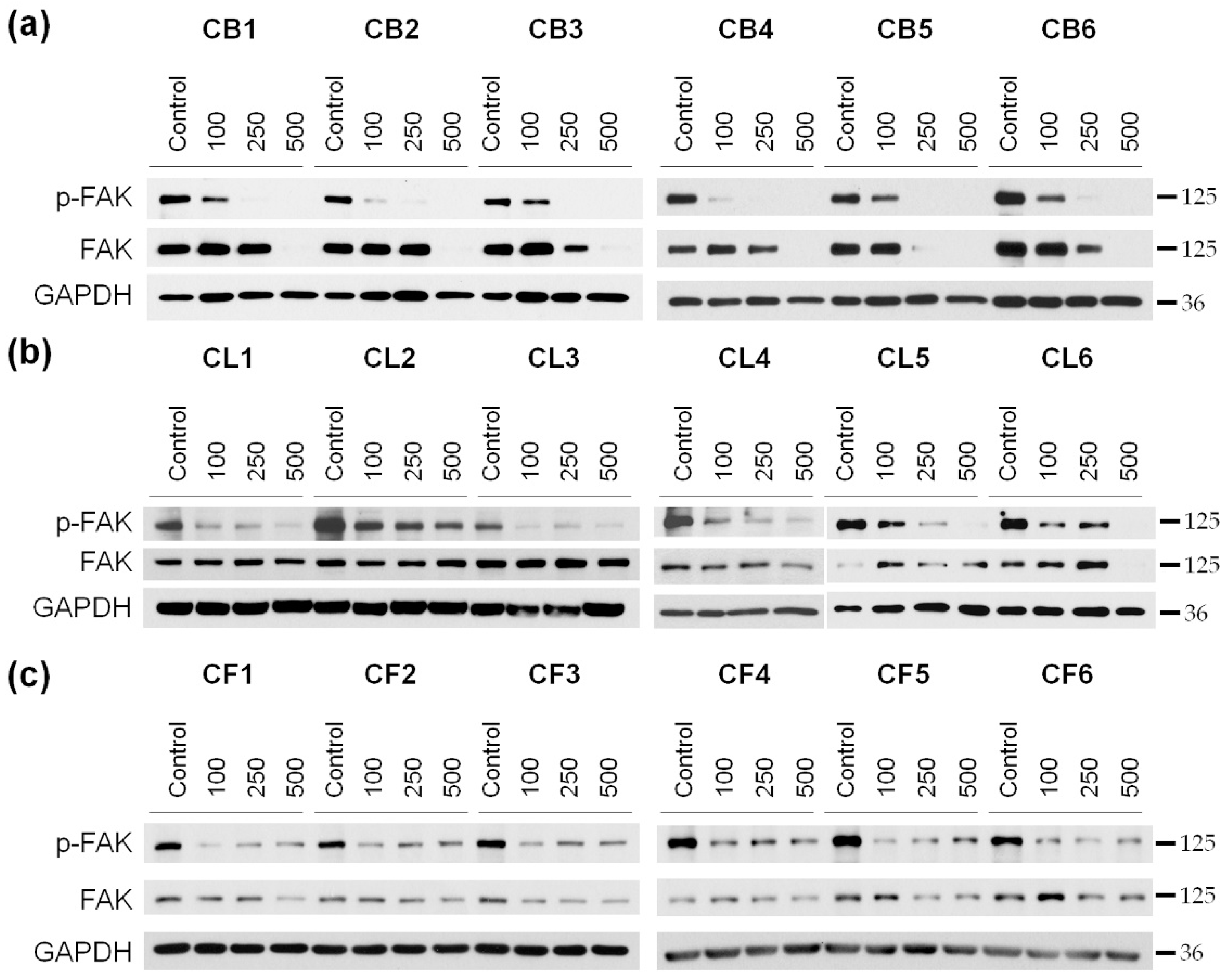Molecules 26 02656 g007