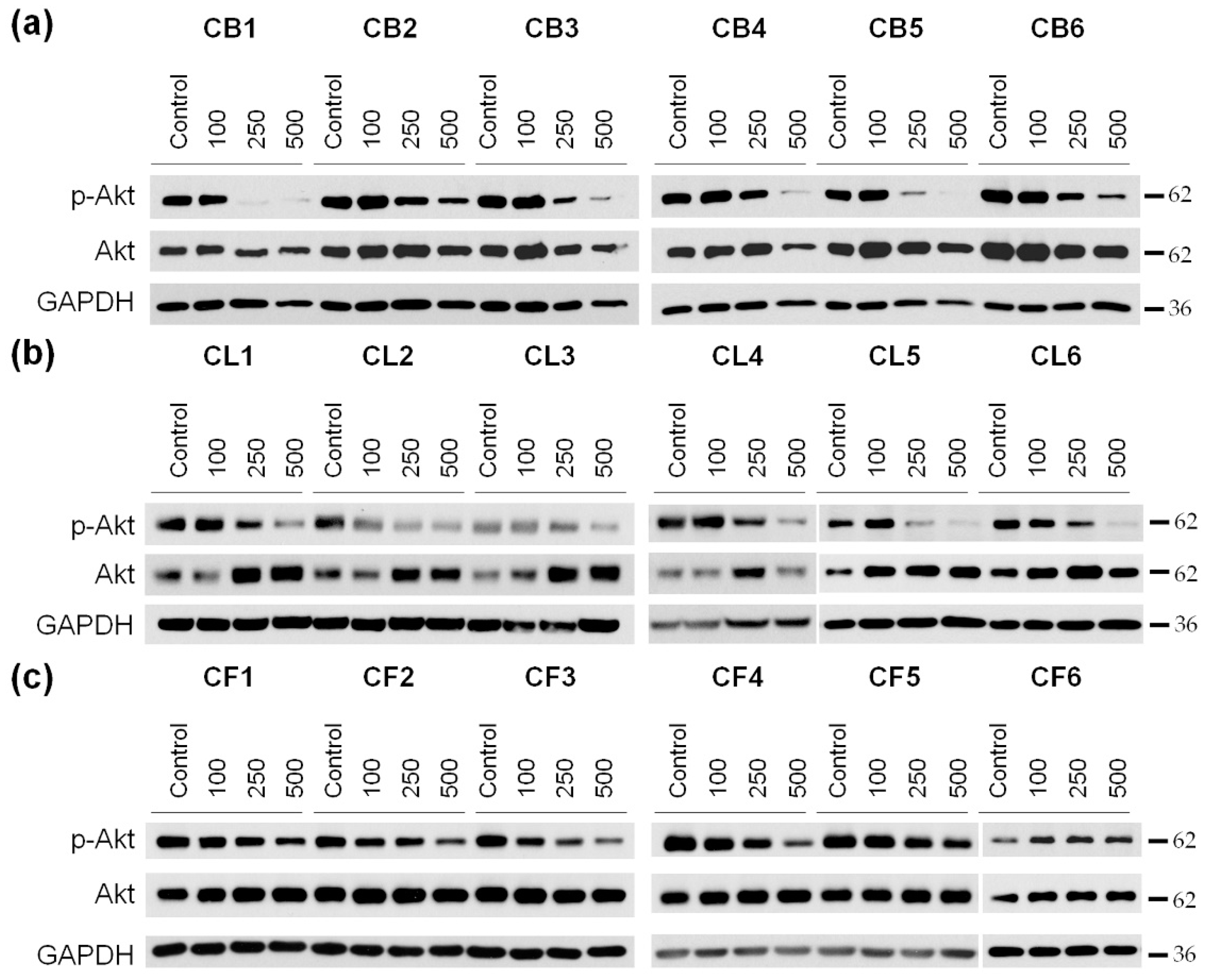 Molecules 26 02656 g008