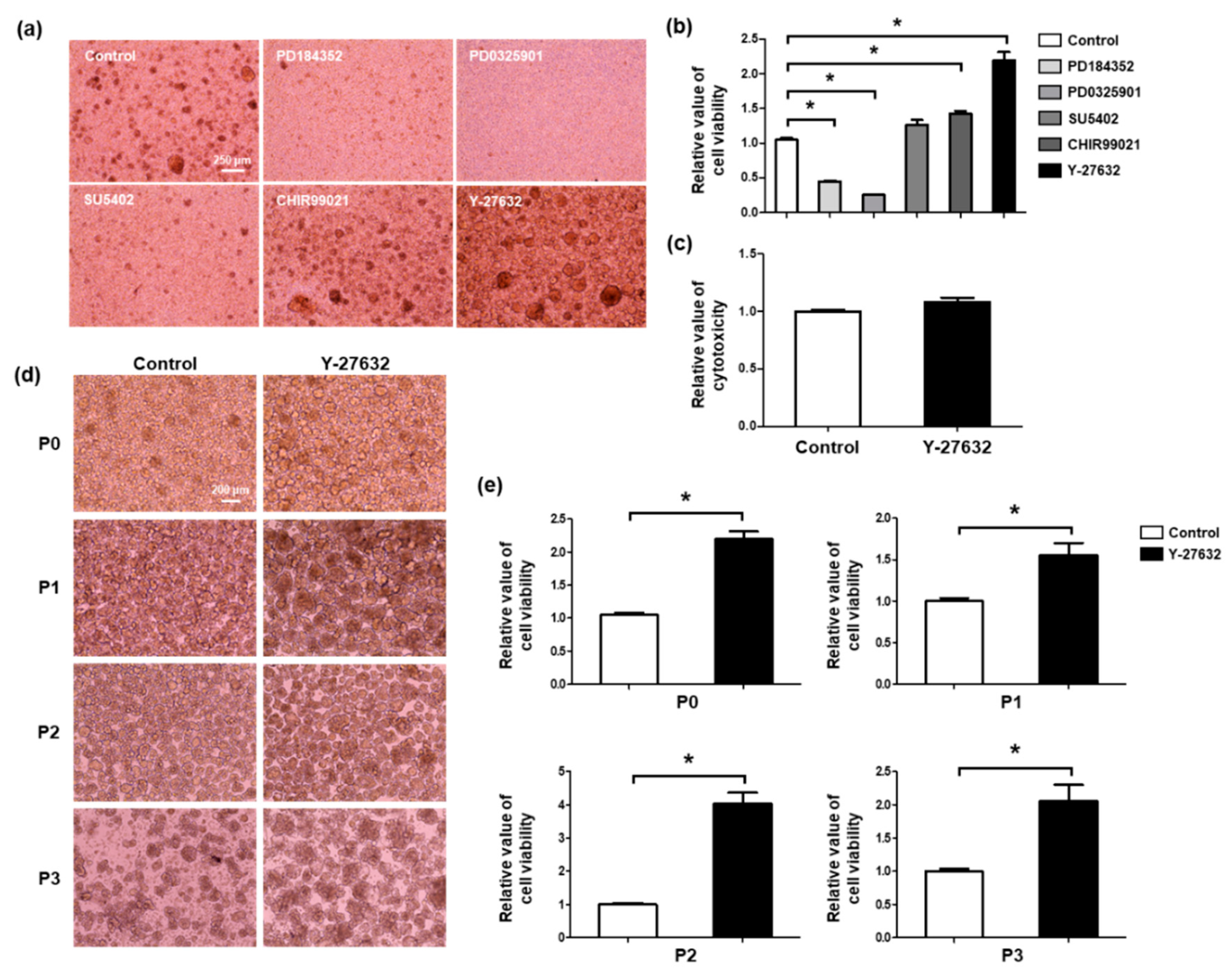 Molecules 26 02658 g002