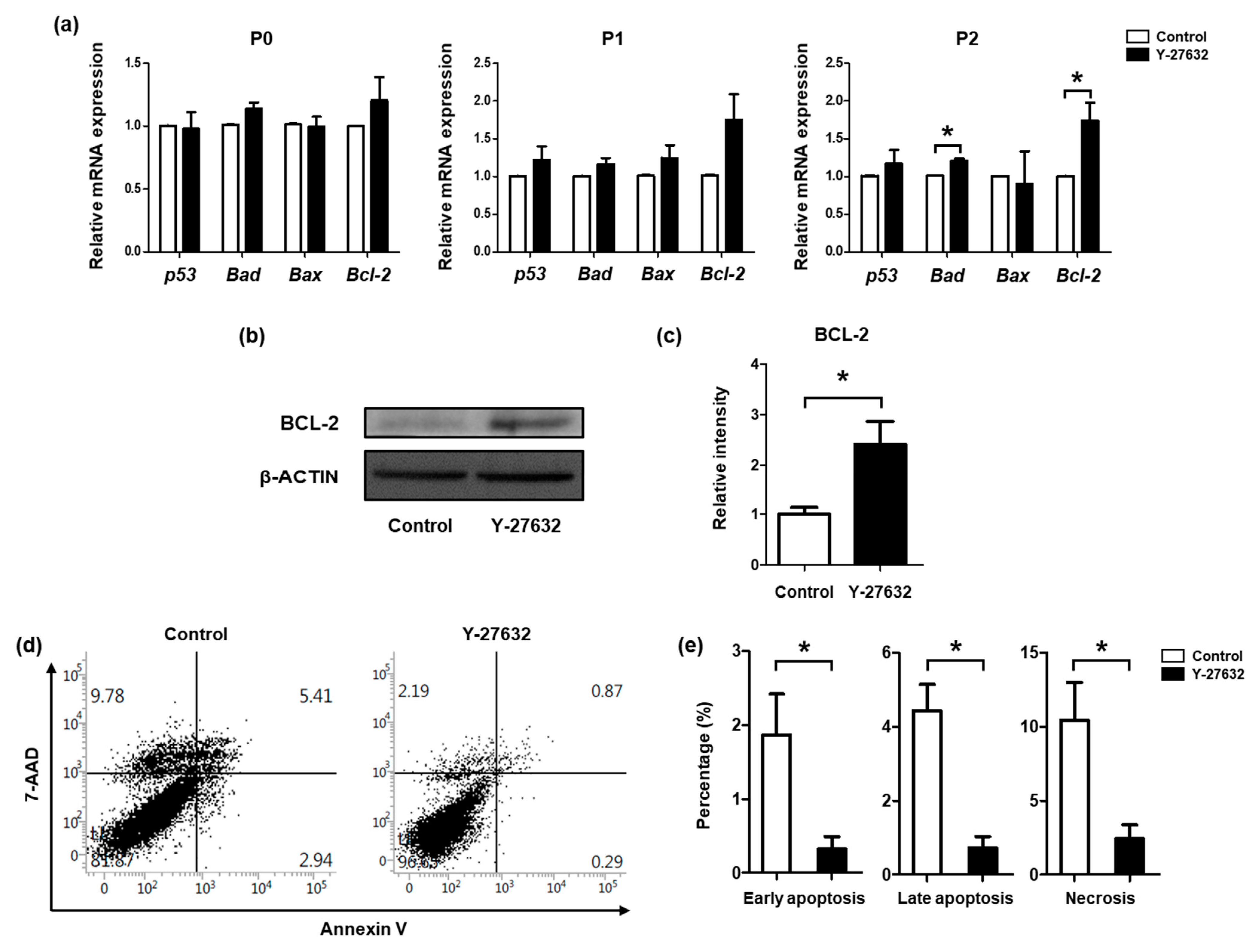 Molecules 26 02658 g003