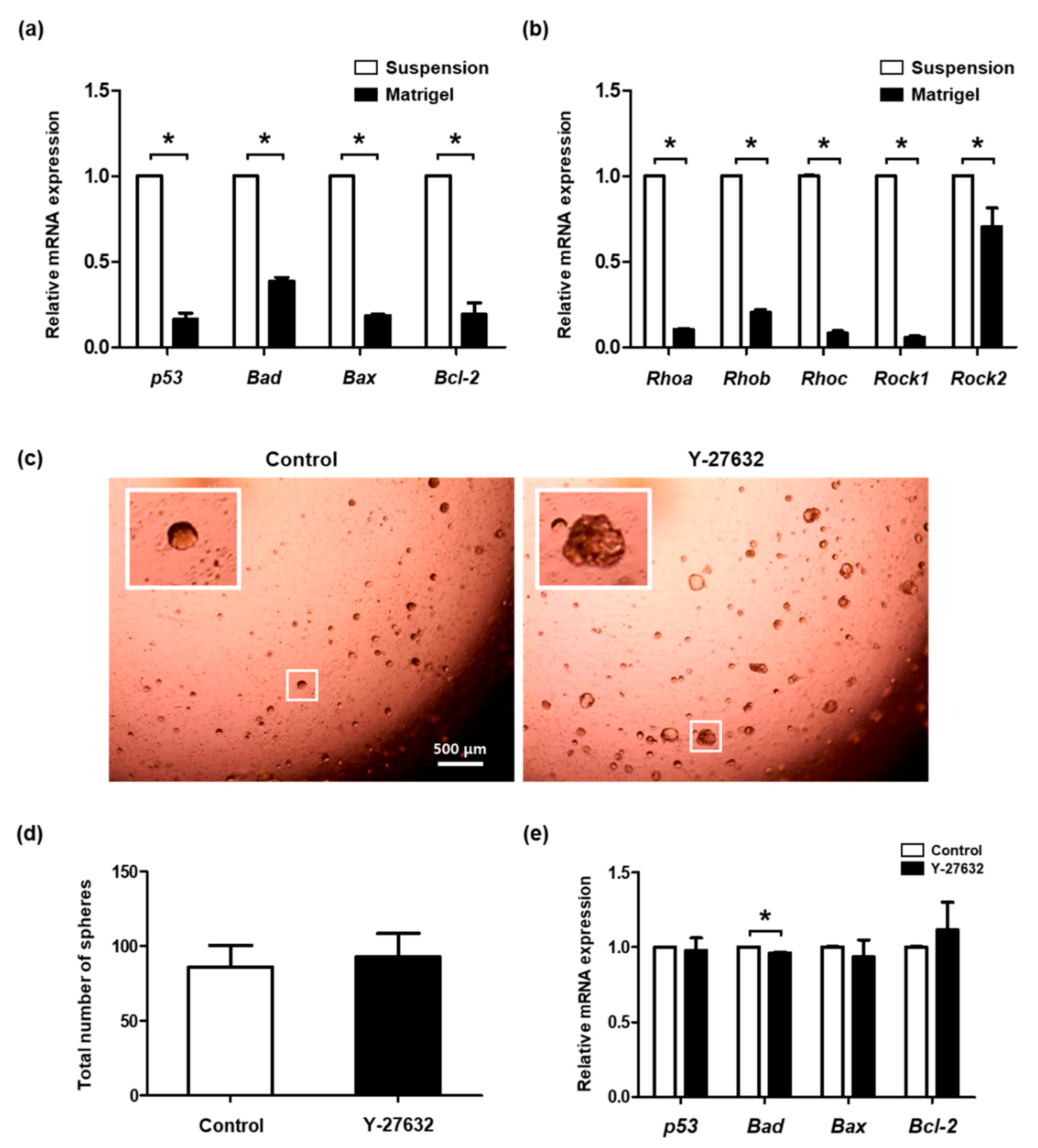 Molecules 26 02658 g004