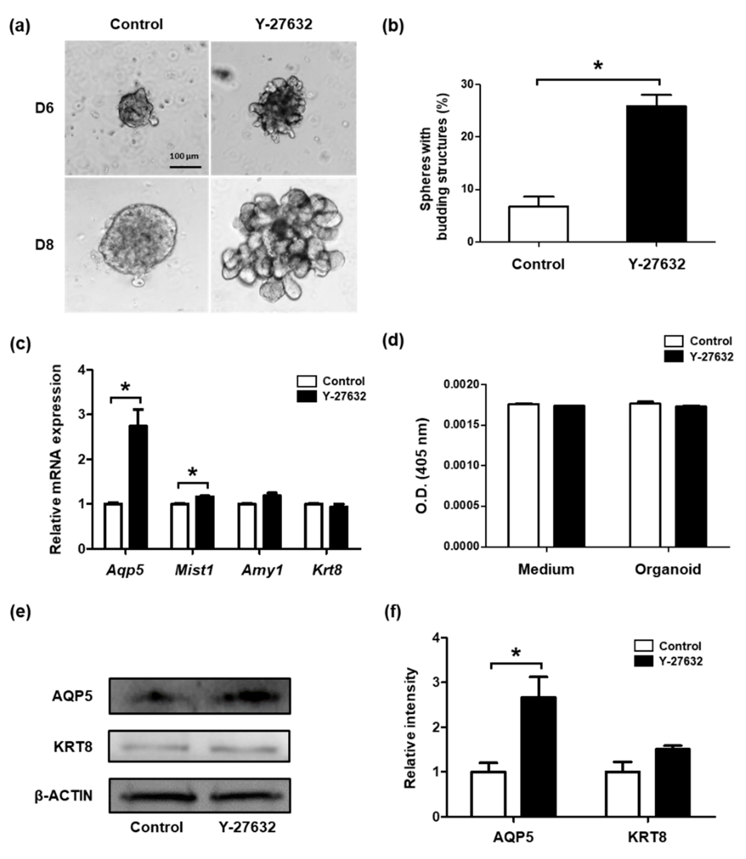 Molecules 26 02658 g005