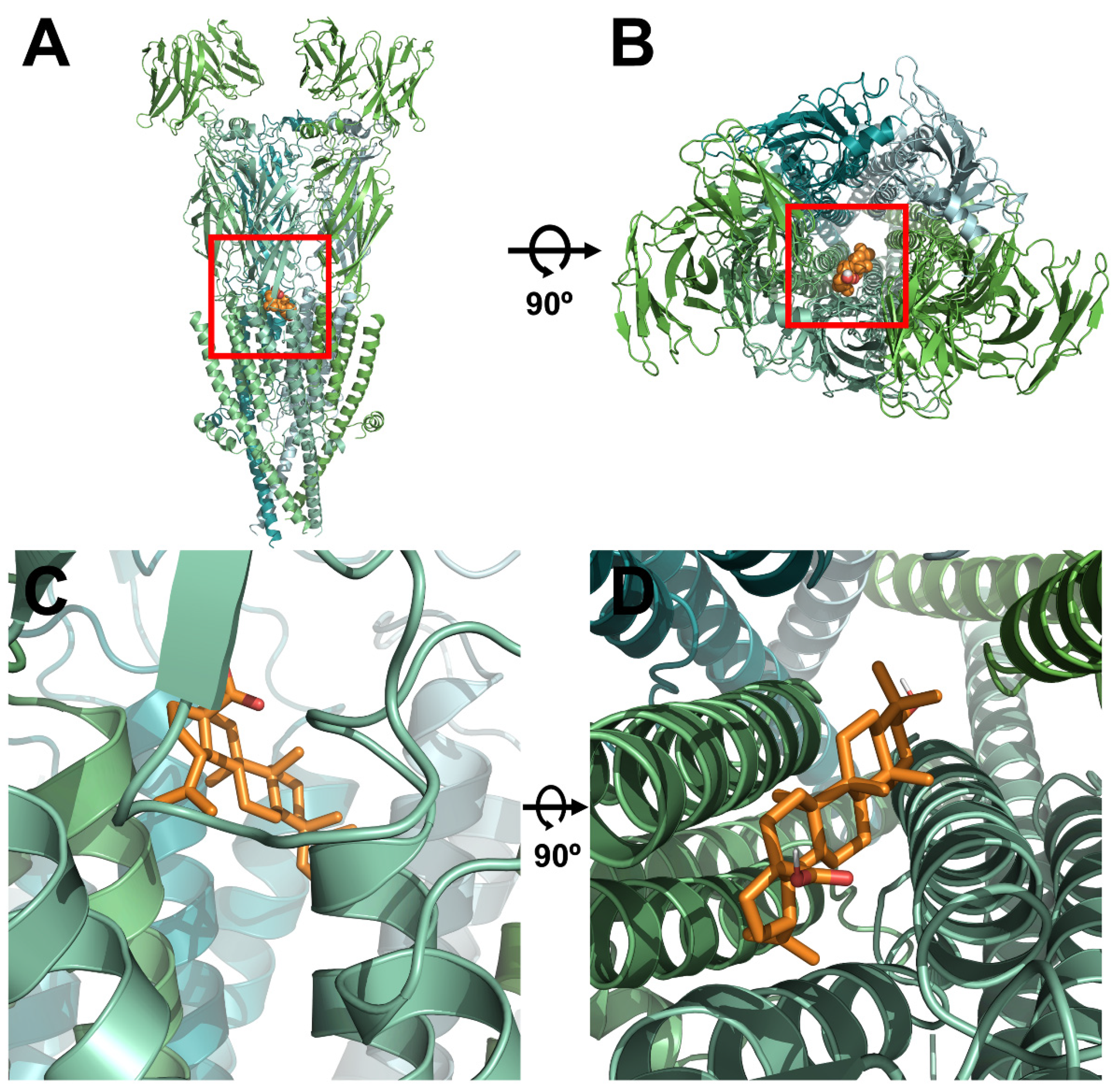 Molecules 26 02659 g003