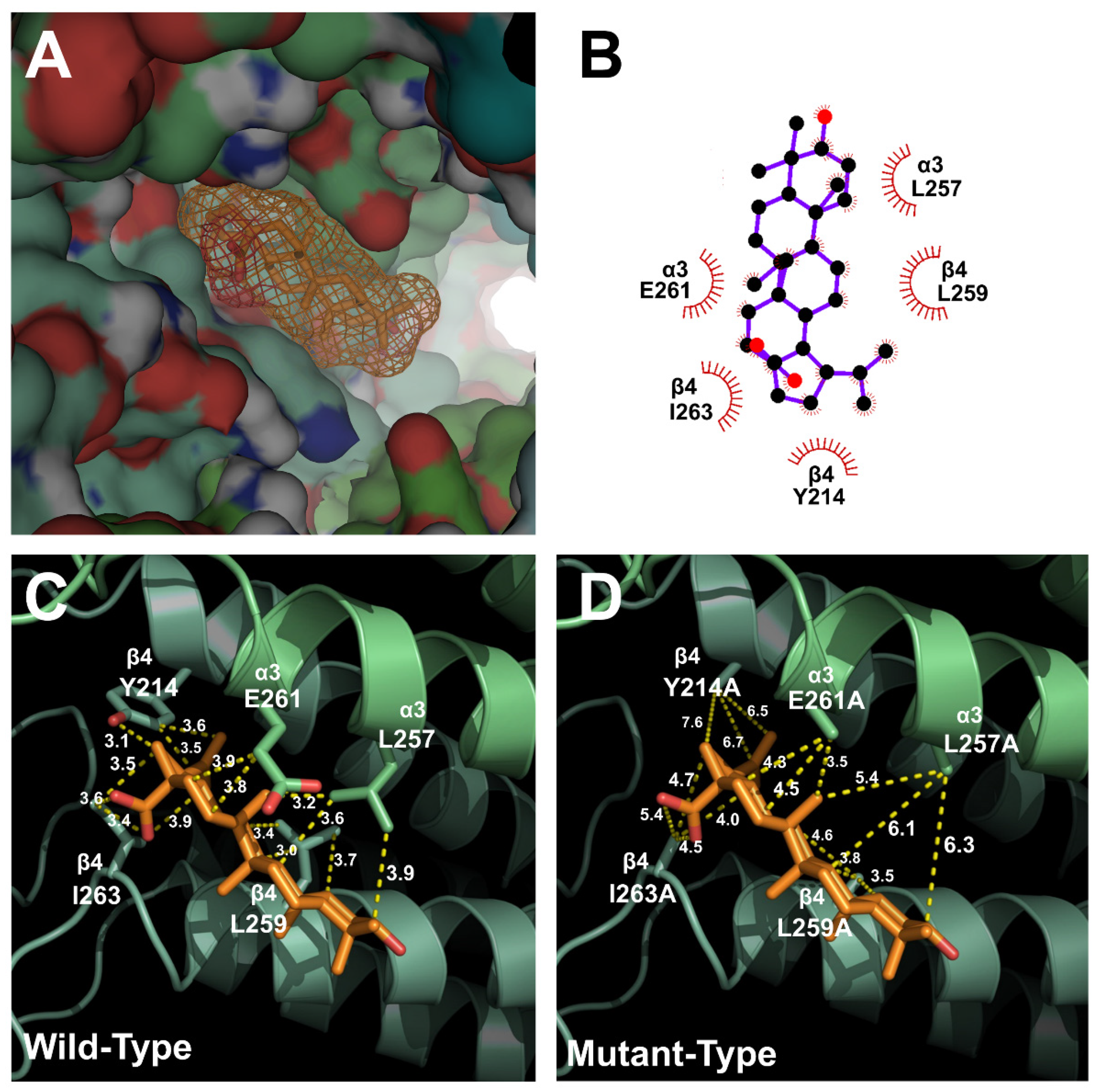 Molecules 26 02659 g004
