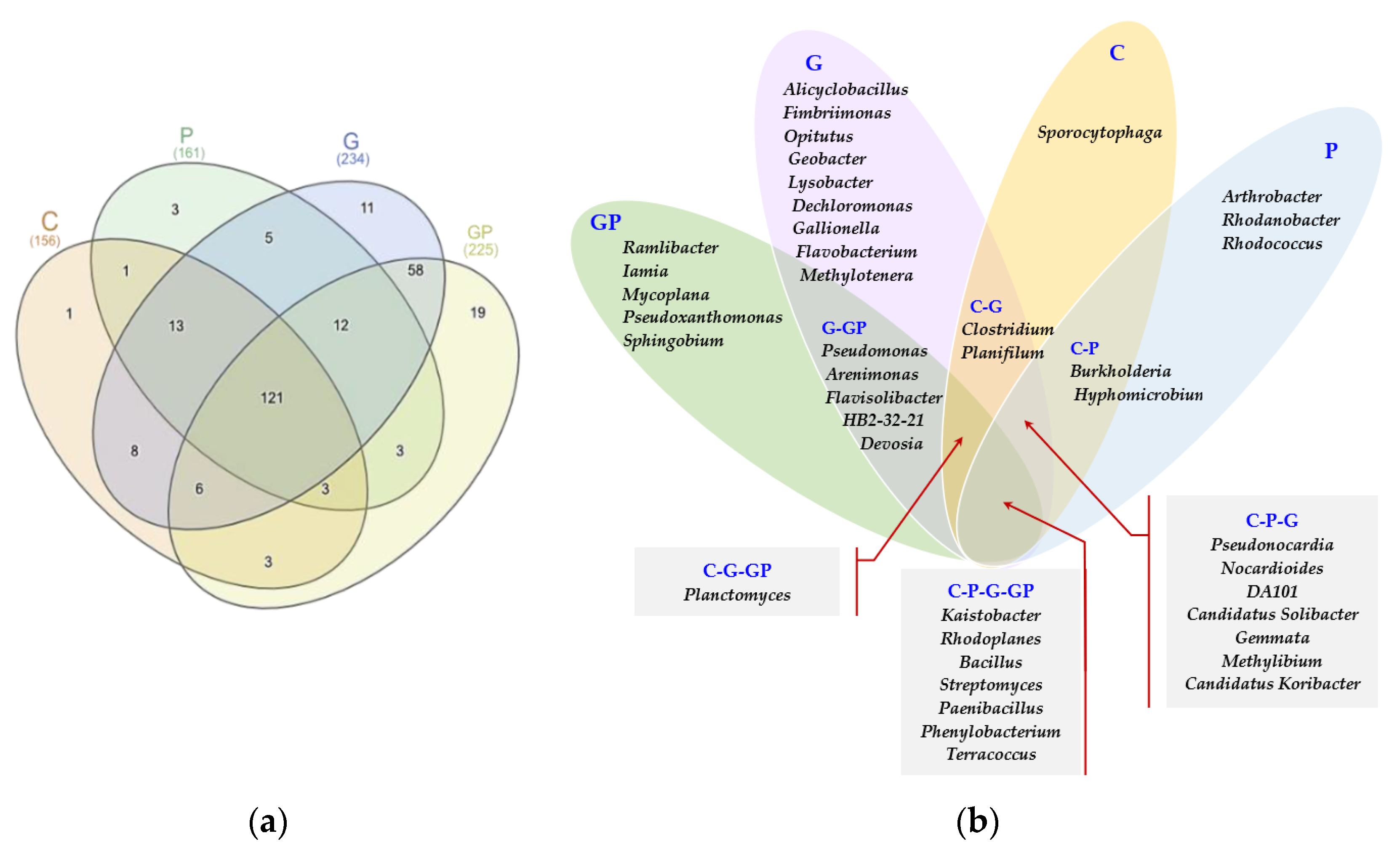 Molecules 26 02664 g005