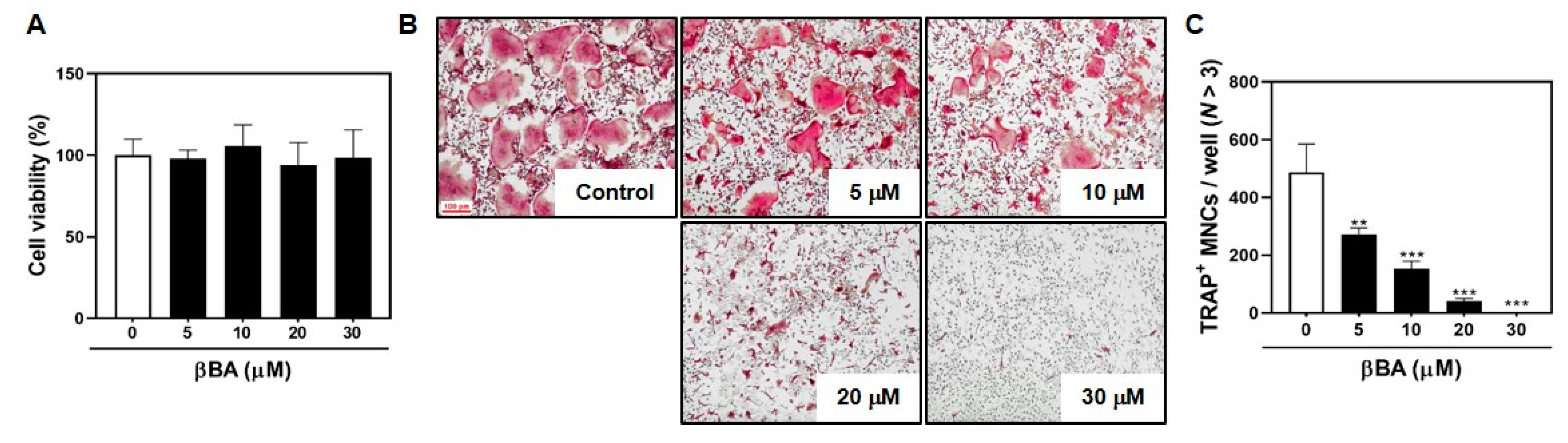 Molecules 26 02665 g001